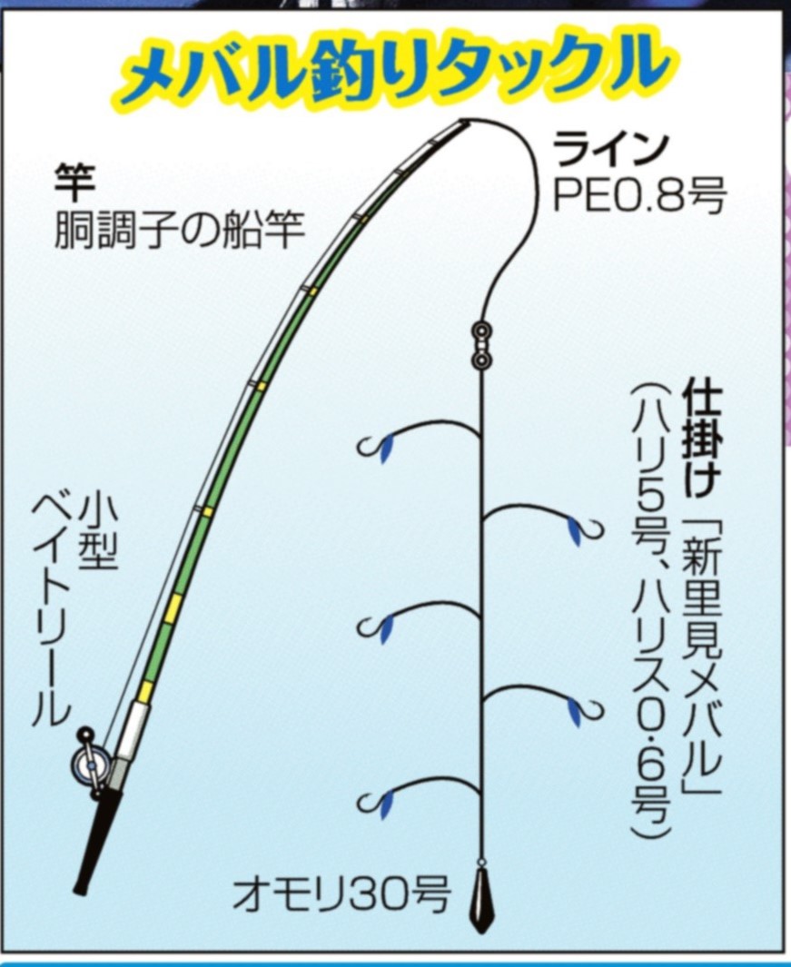 夜の大阪湾に春満開 半夜でメバル アジ 関西フィッシング サンスポ