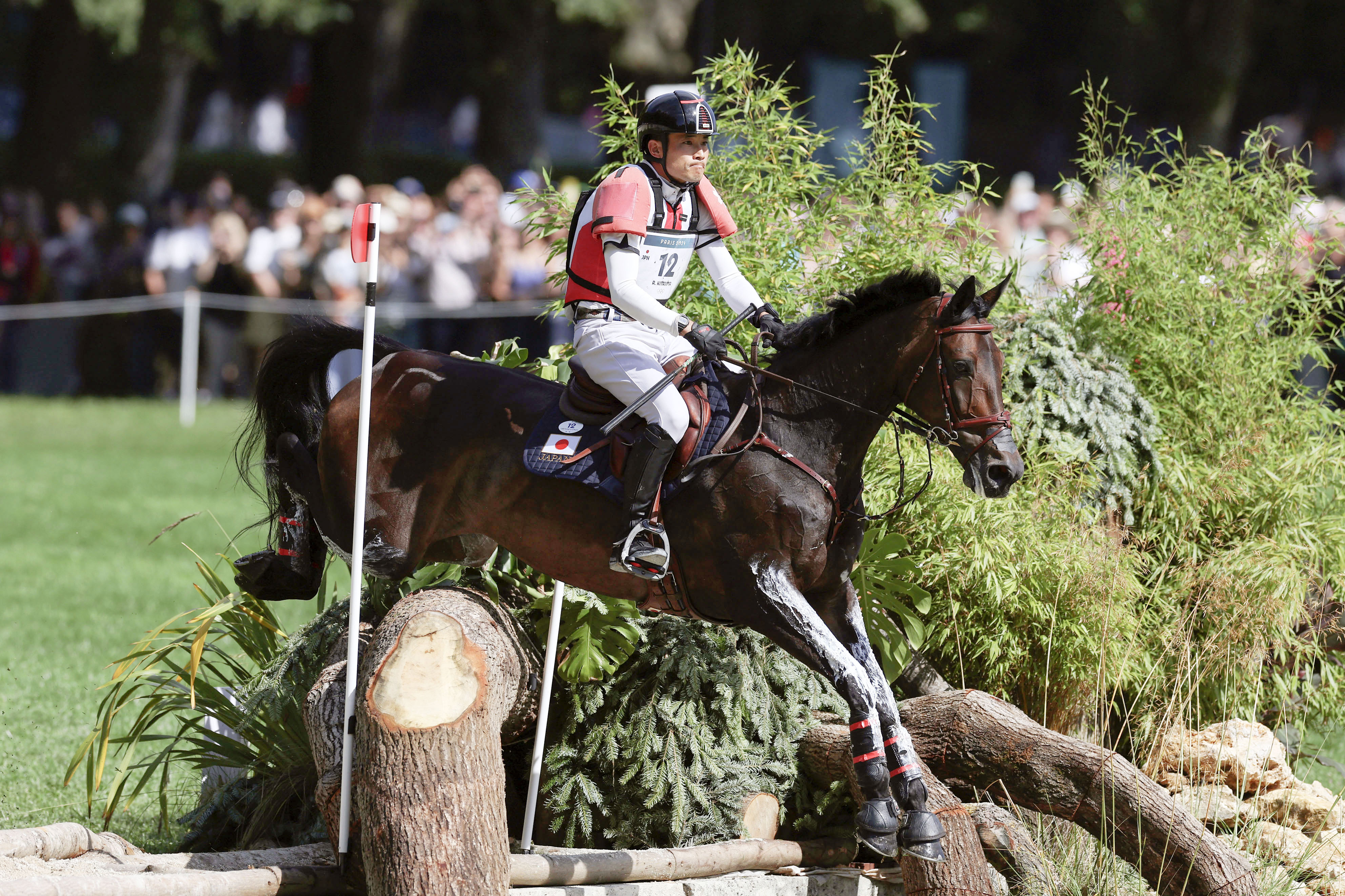 総合馬術、日本３位に浮上 パリ五輪の馬術 - 産経ニュース