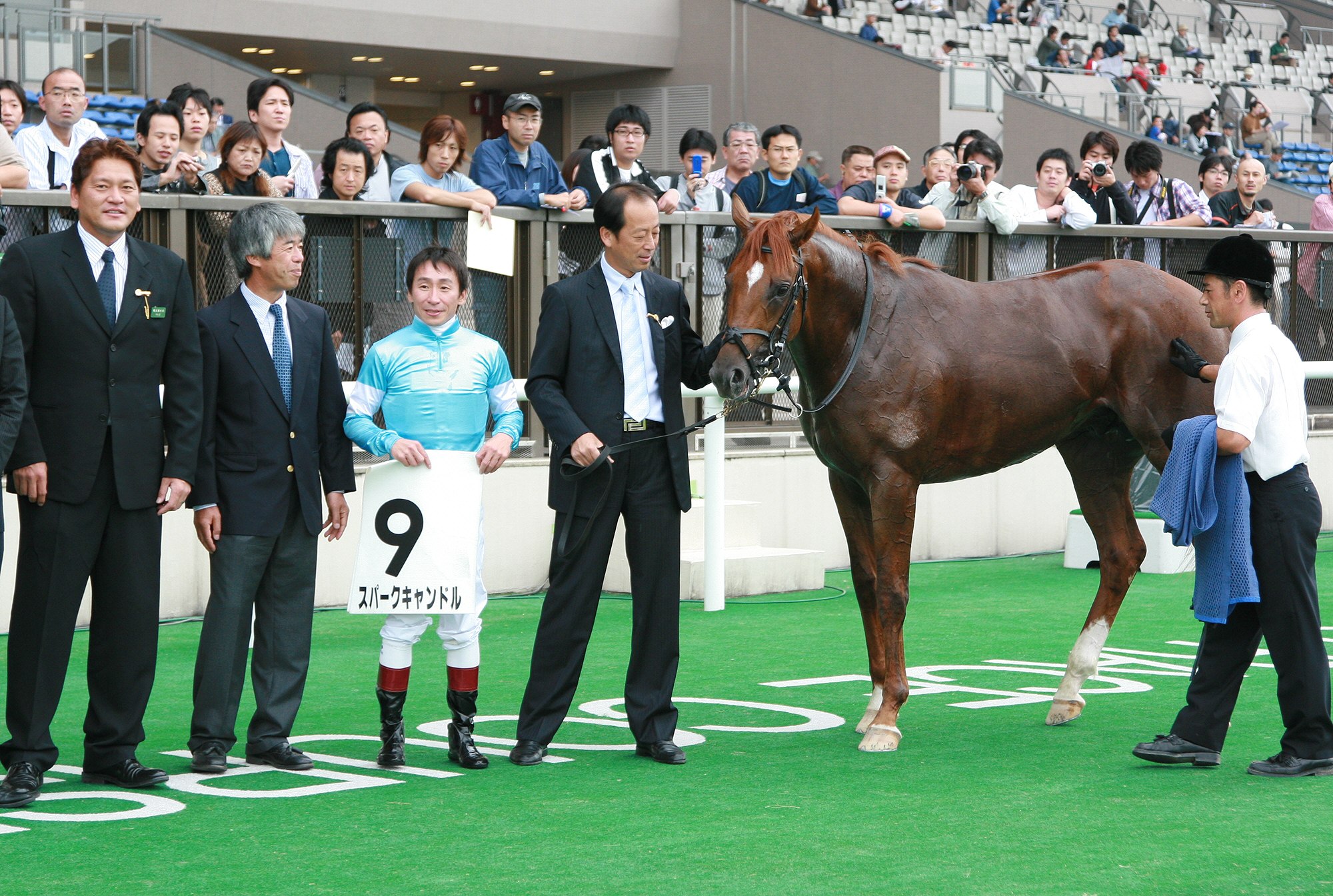 GⅠ11勝の名牝セレナズソング死す…34歳 牝馬初のハスケルS制覇