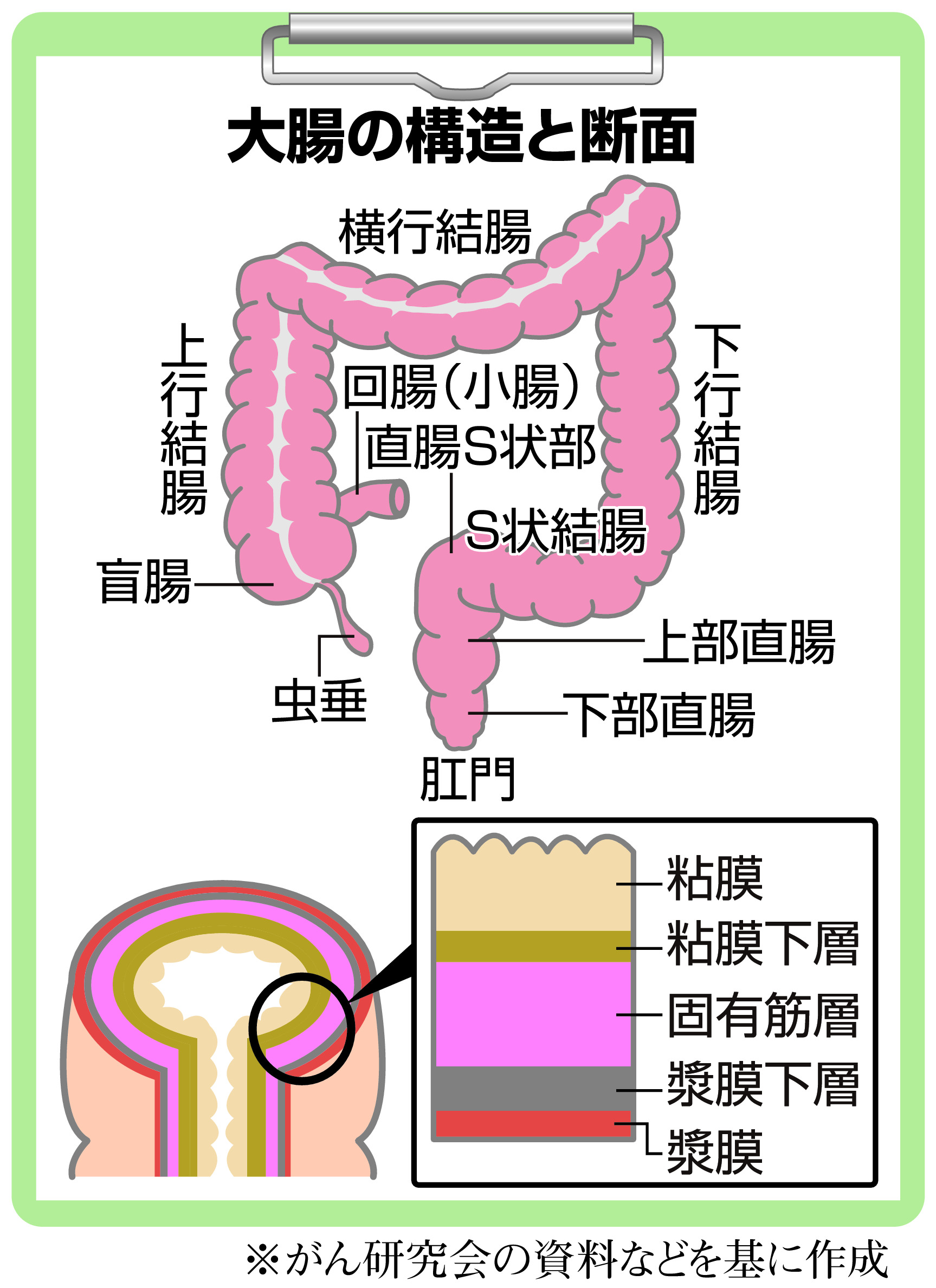 アドバンス帝王切開術と関連手術 (OGS NOW basic 9) | 竹田 省