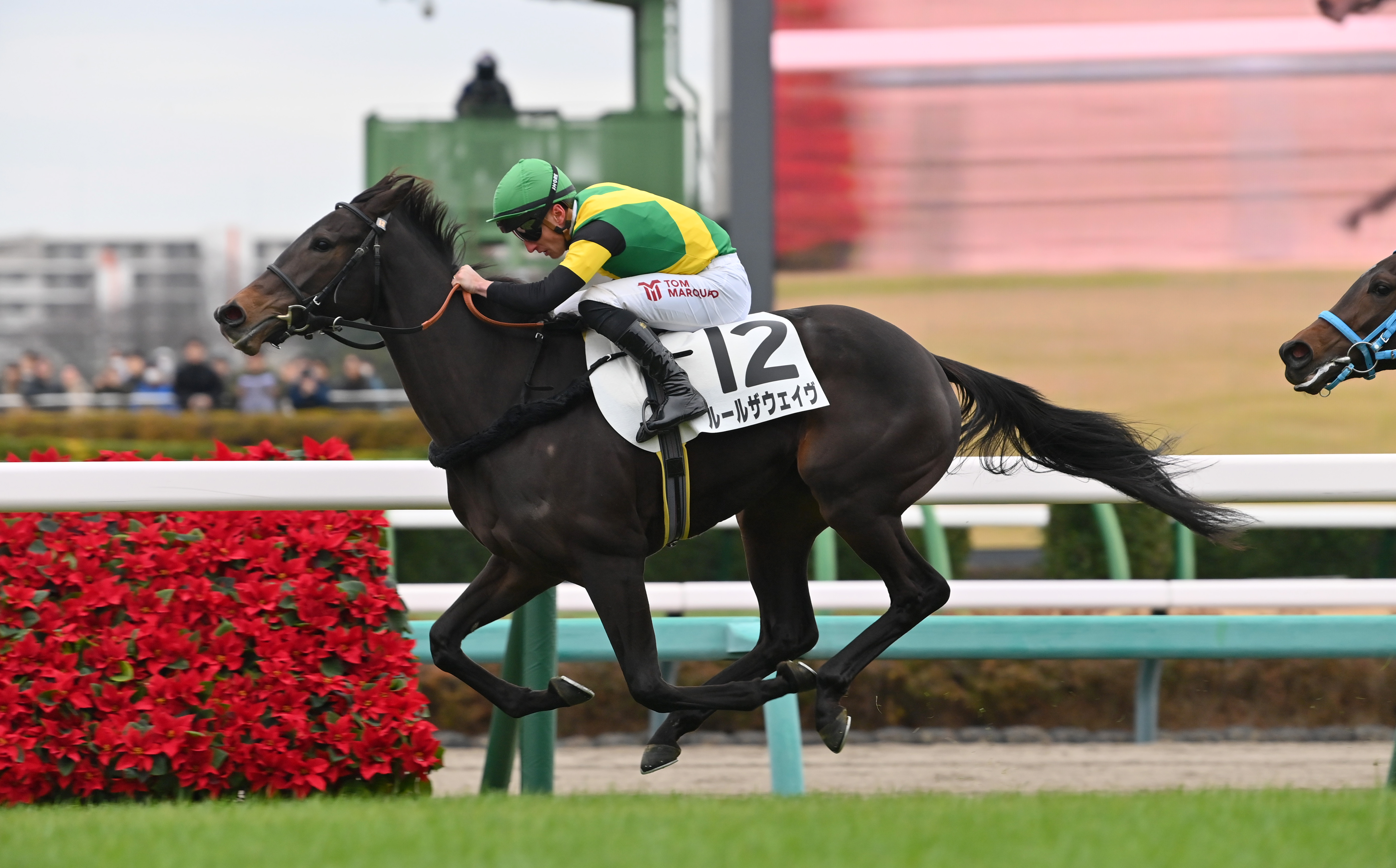 2歳新馬・中山5R】ルールザウェイヴが2番手から力強く押し切る