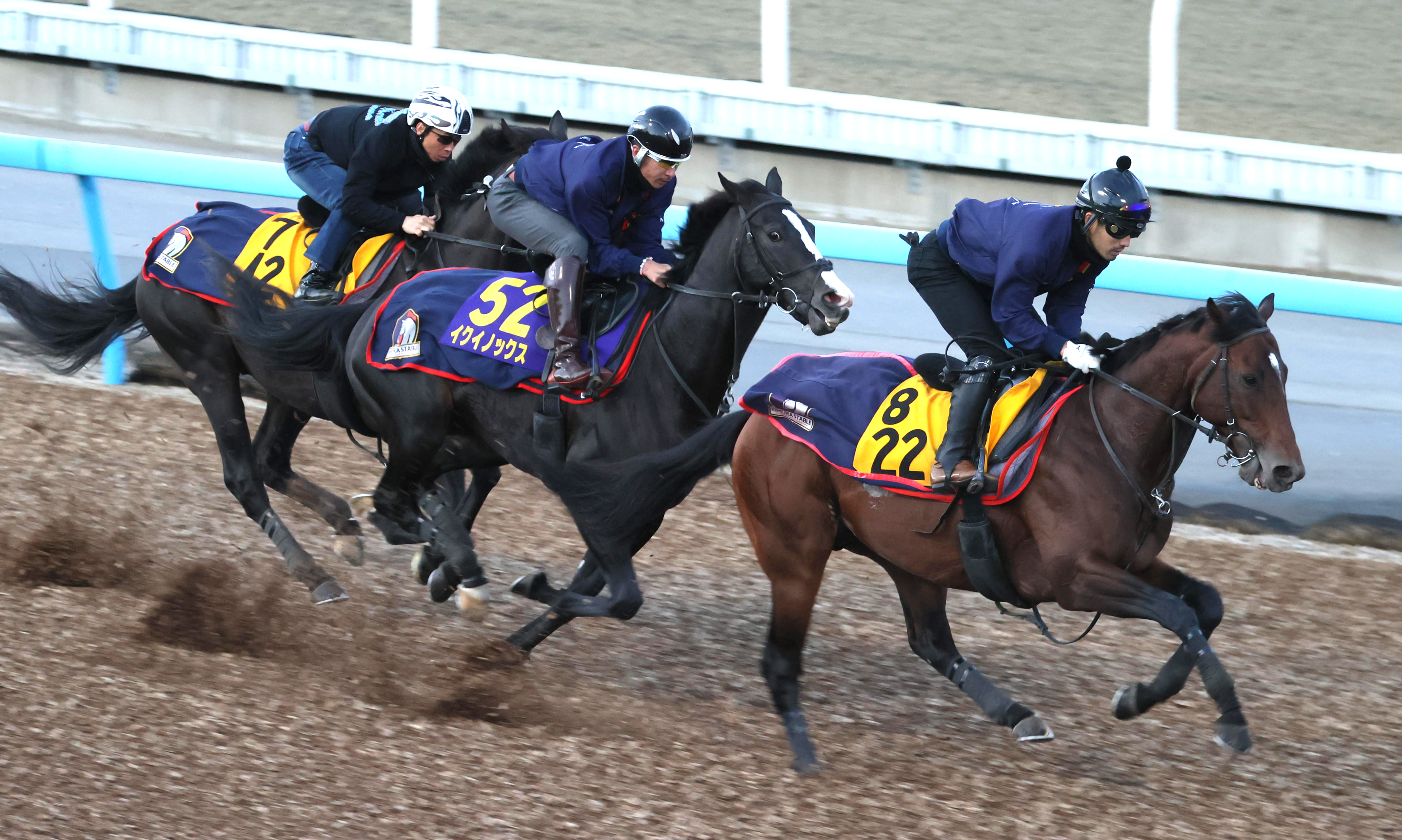 天皇賞 秋 史上最少キャリアで盾獲りへ イクイノックス態勢万全１１秒５ サンスポzbat