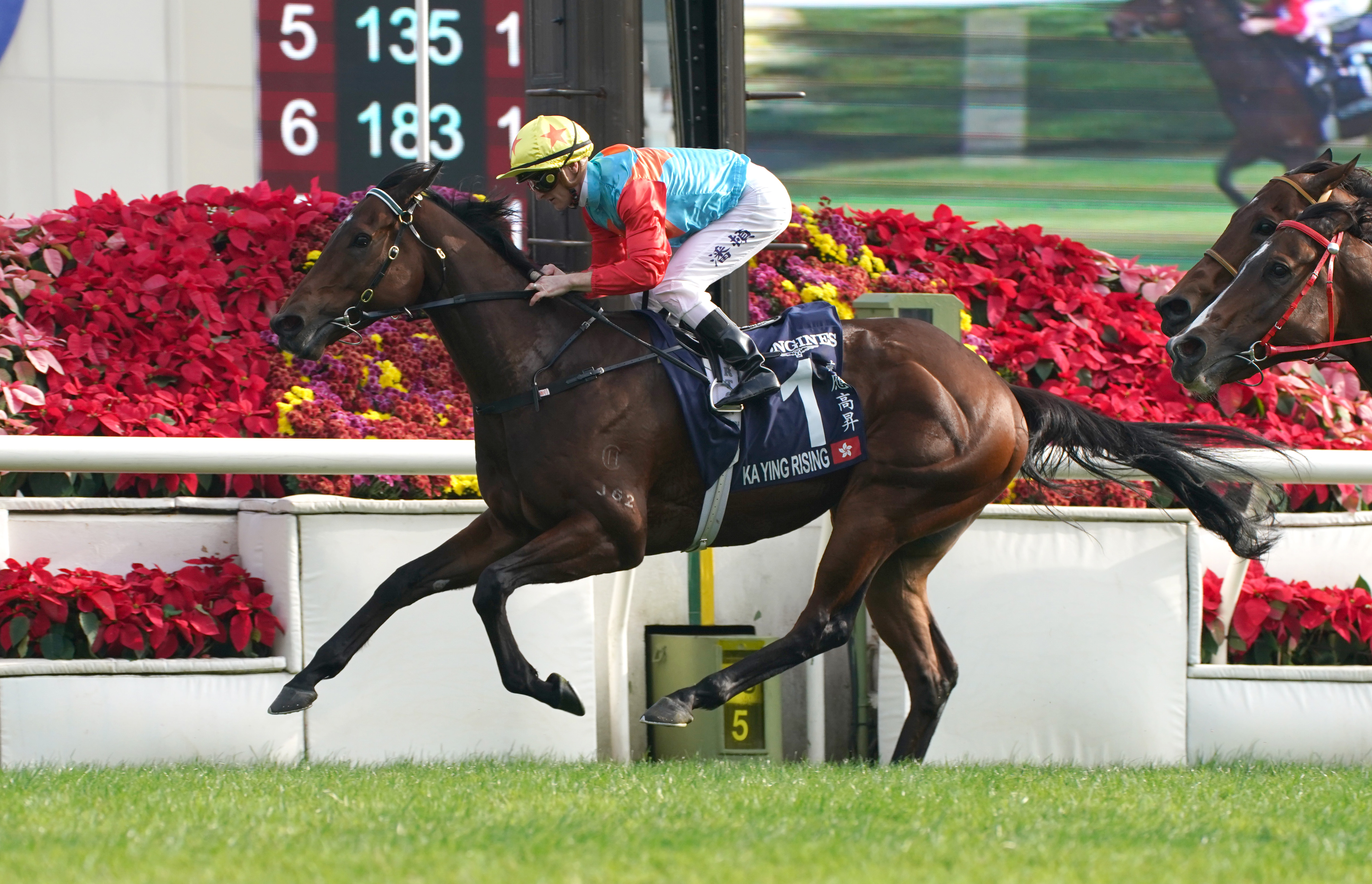 香港スプリント】地元の超新星カーインライジングが8連勝でGⅠ初挑戦V