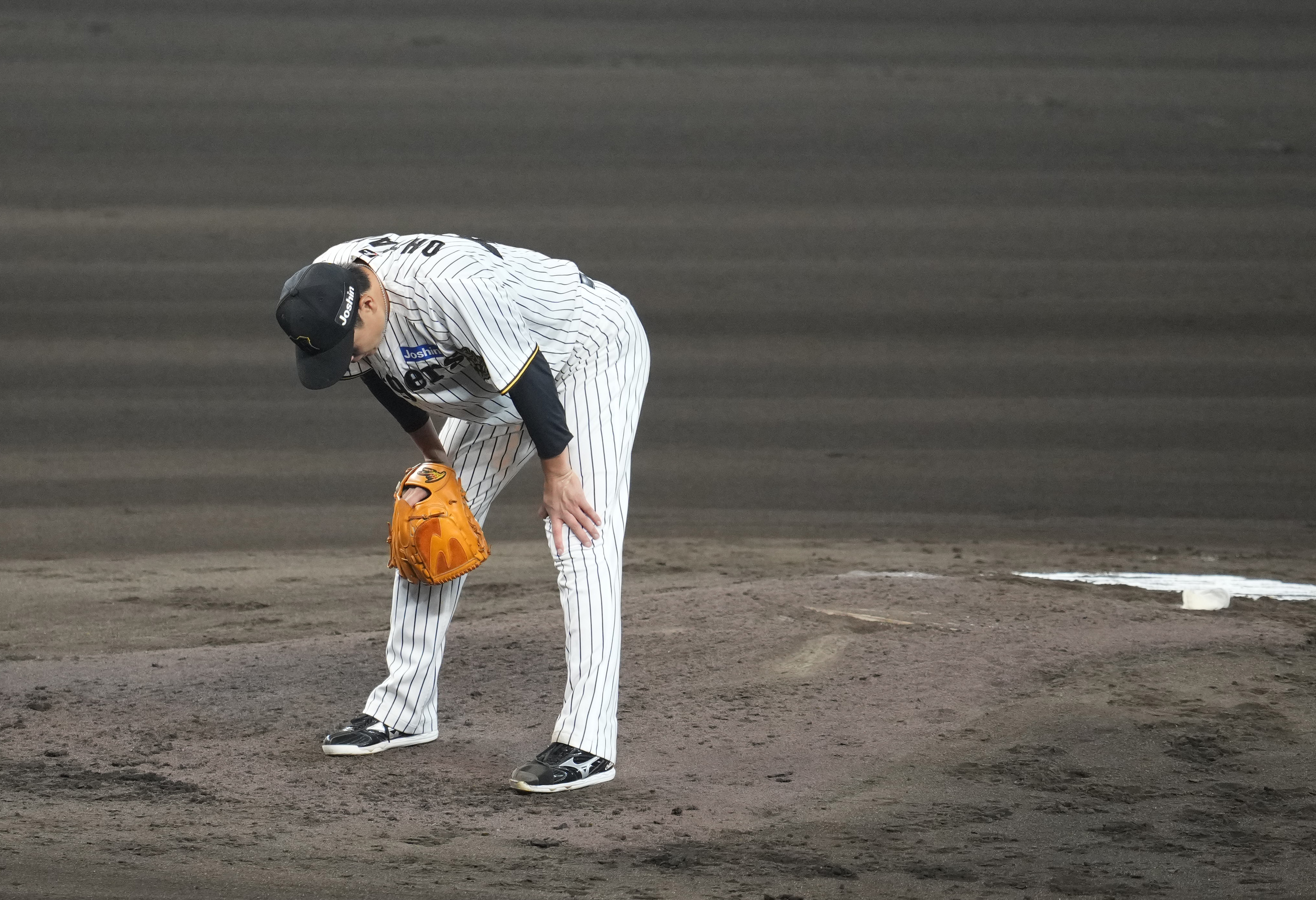 阪神「高校野球」特急板 阪神「高校野球」特急板