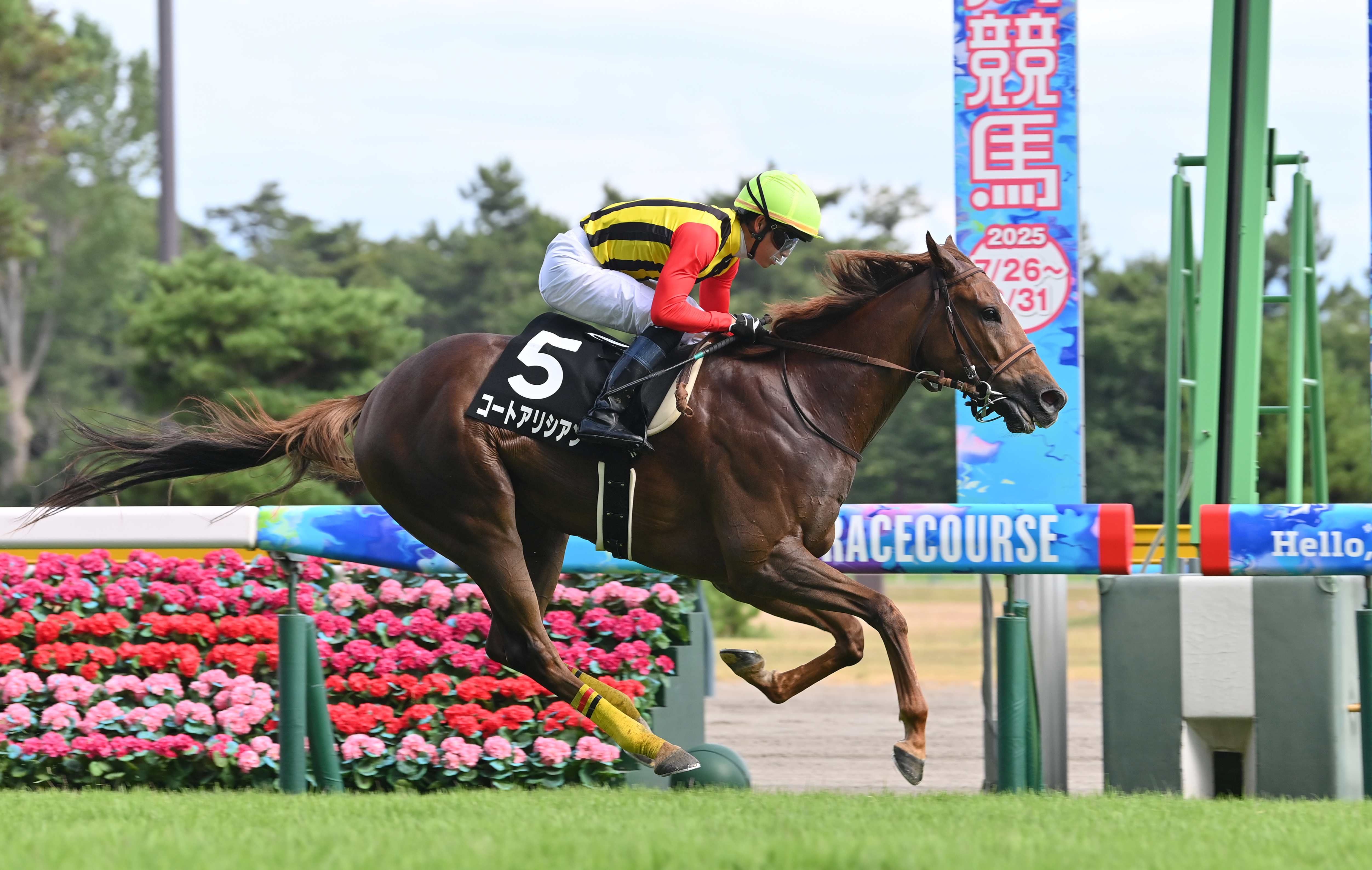東西記者 今週の狙い馬】新潟外回りで真価発揮！ コートアリシアン by