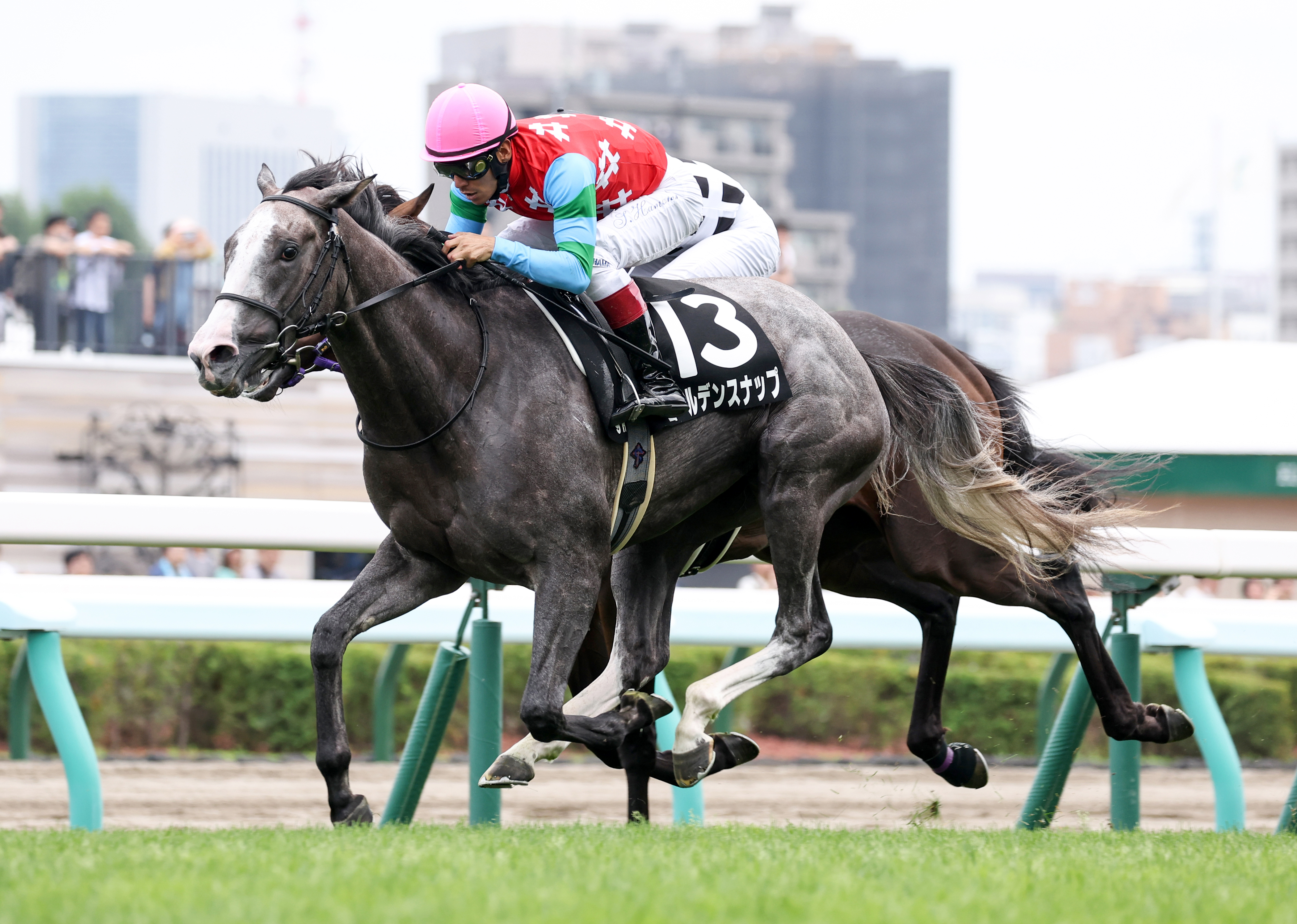 豪州遠征を予定しているゴールデンスナップは引き続き浜中俊騎手と