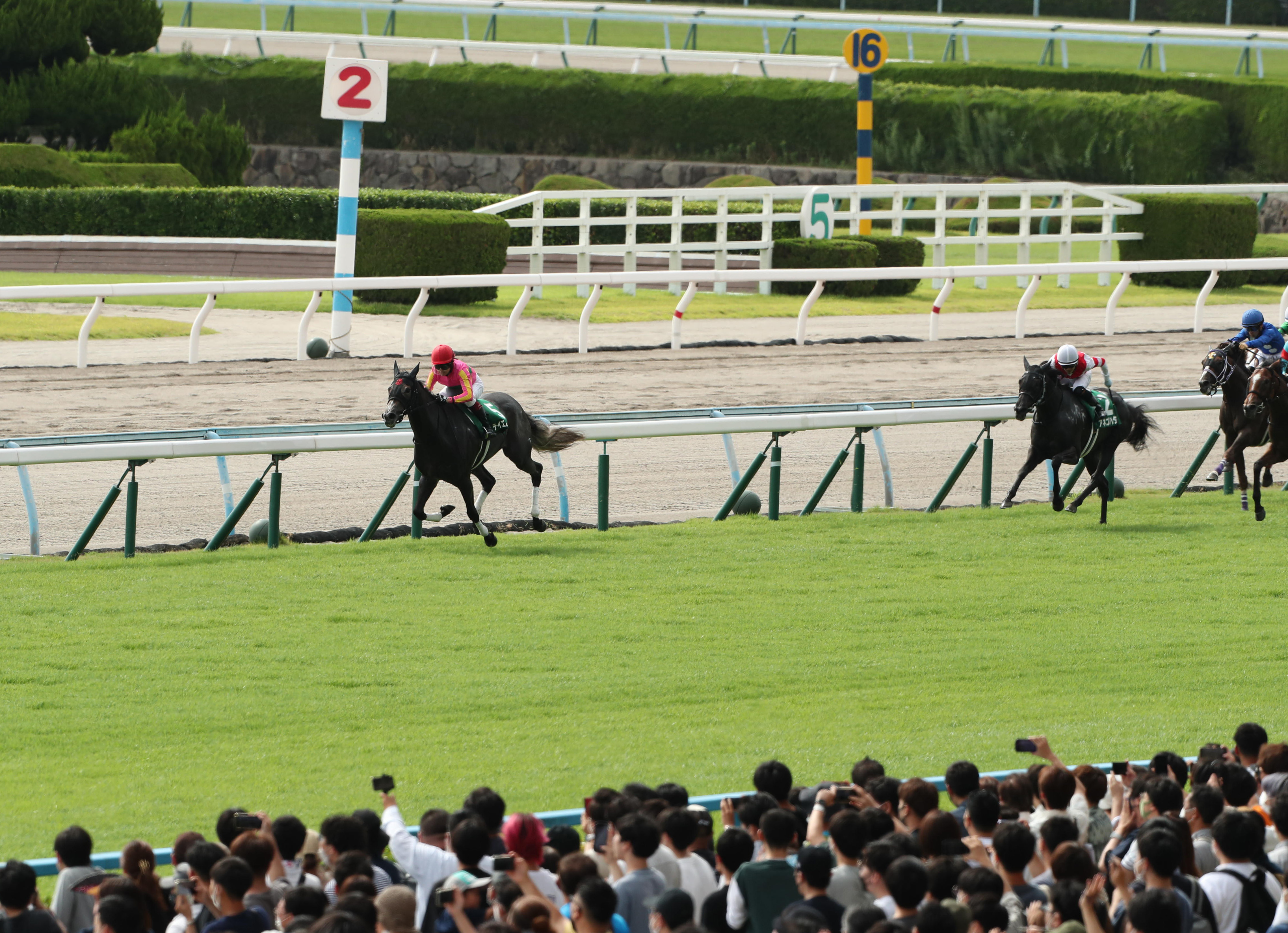 フォト特集】「歓声が気持ち良かった」今村聖奈が快挙 重賞初騎乗勝利、女性騎手では初 - 産経ニュース