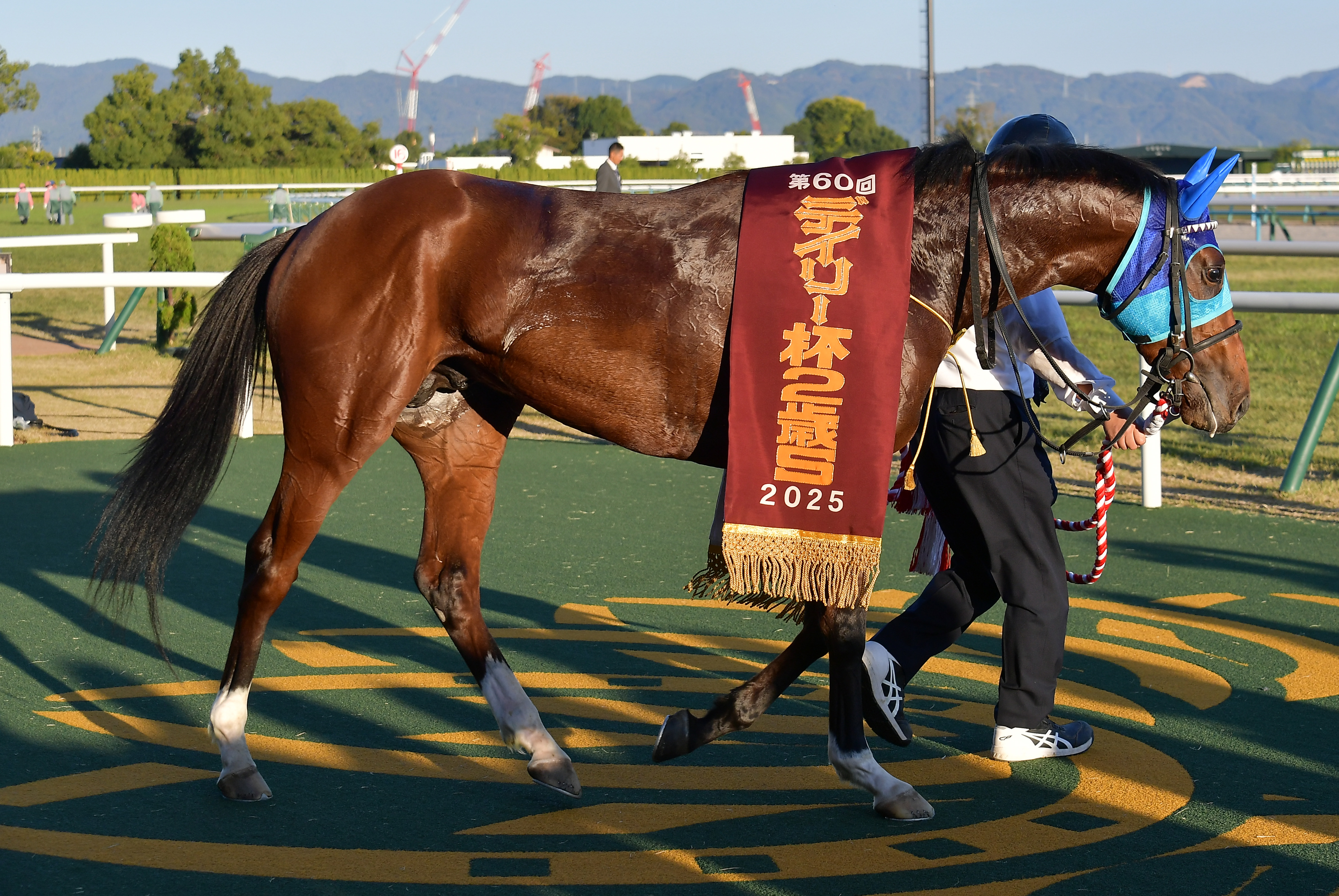 朝日杯FS】2歳マイル王決定戦にアドマイヤクワッズなど18頭が登録