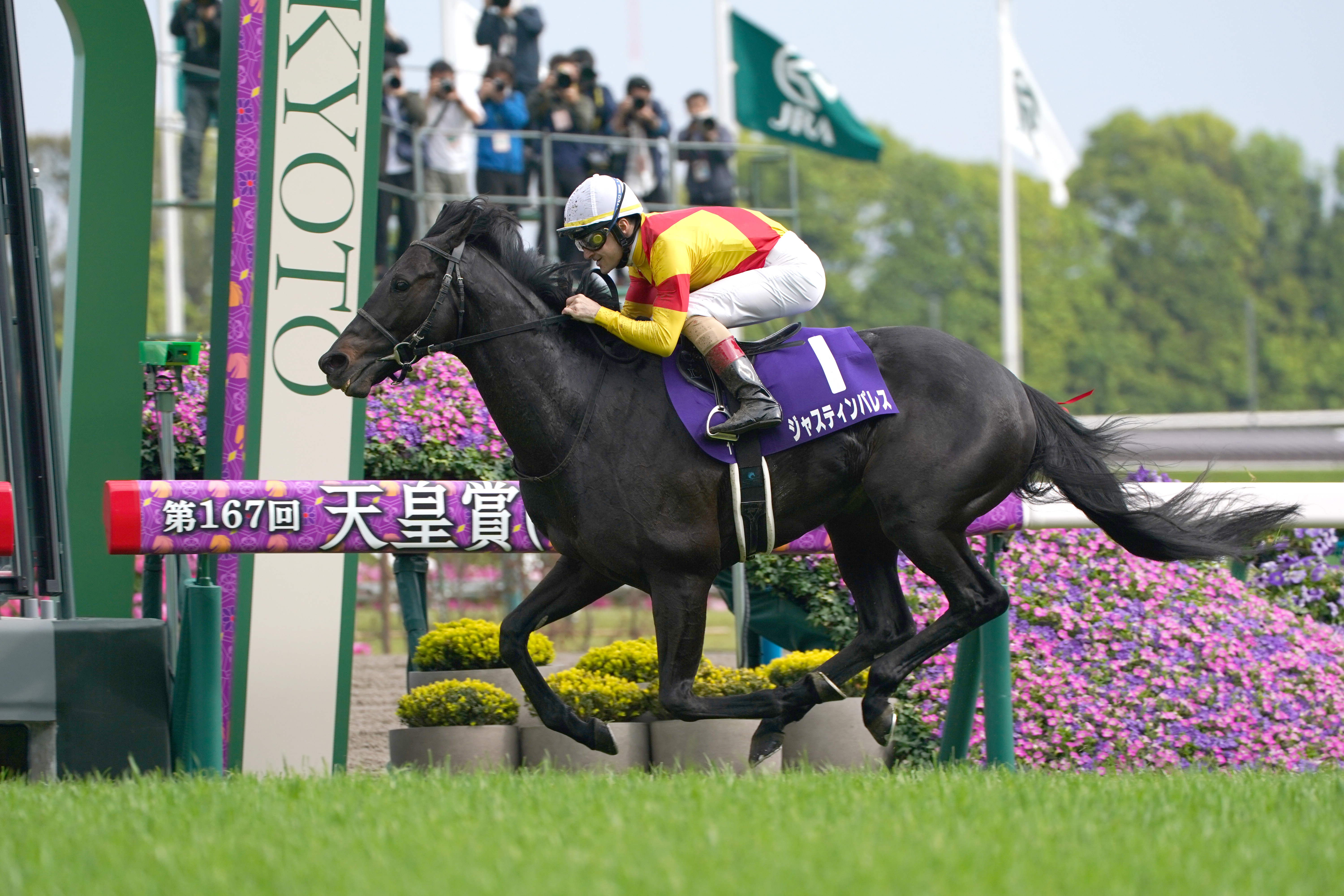 ジャスティンパレスが4日付で競走馬登録を抹消 今後はアロースタッドで
