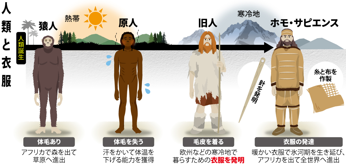 第二の皮膚」衣服 「布」は世界各地で普遍的に誕生 氷河期を生き抜き 