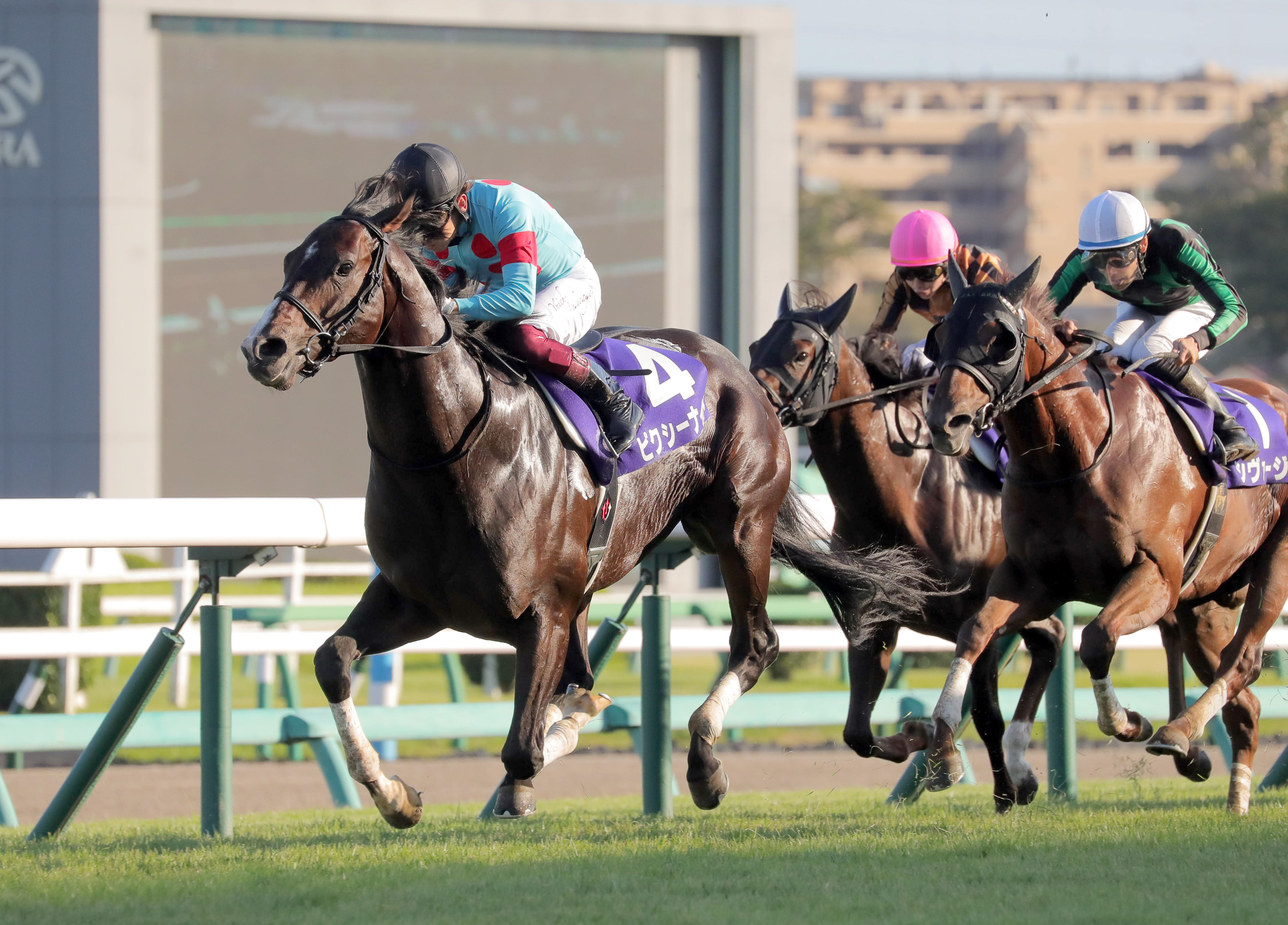 ピクシーナイトは年内の復帰断念へ - サンスポZBAT!