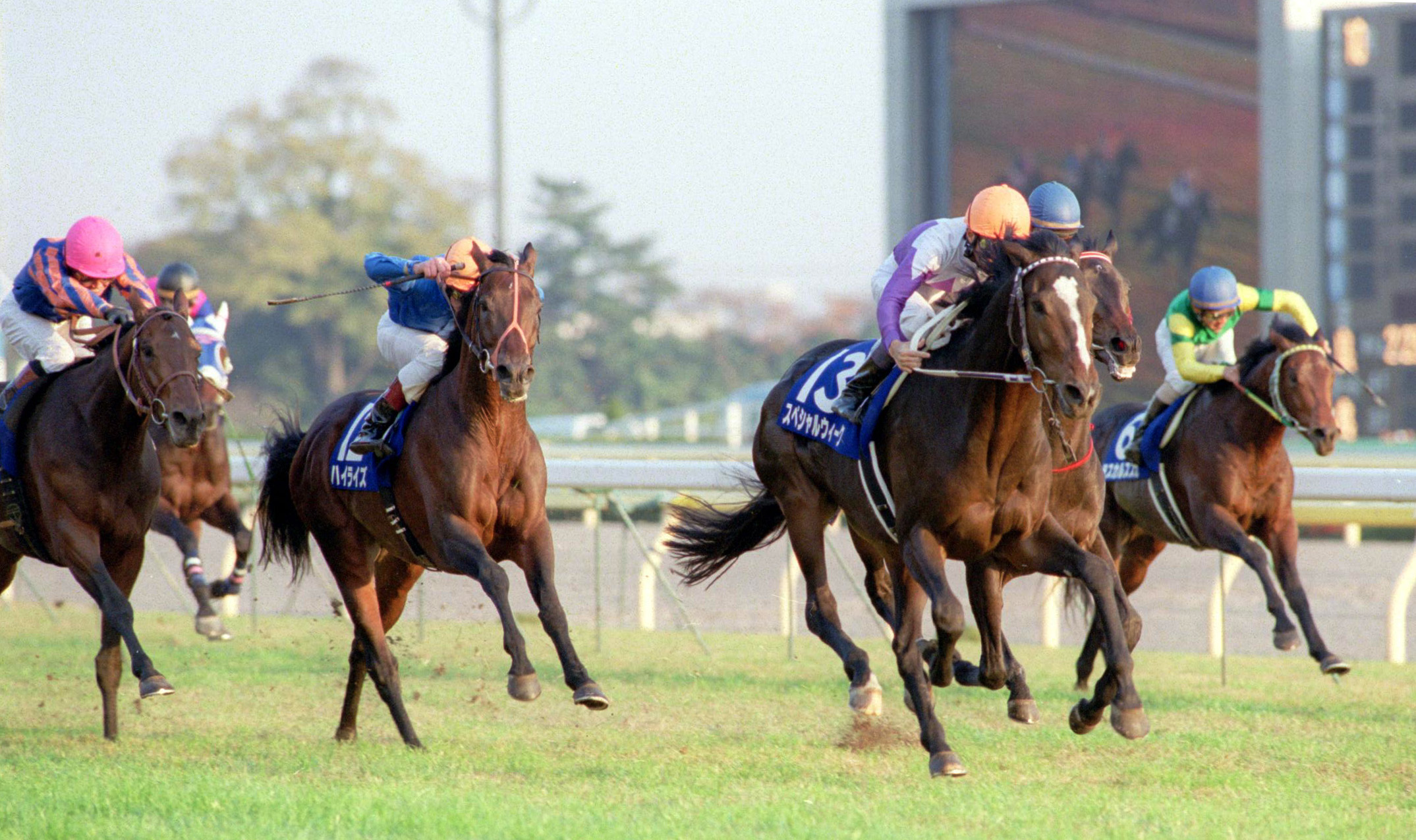 白井寿昭元調教師が明かすスペシャルウィークの真実（後）凱旋門賞馬を破ったジャパンカップ「最高でした」 - サンスポZBAT!