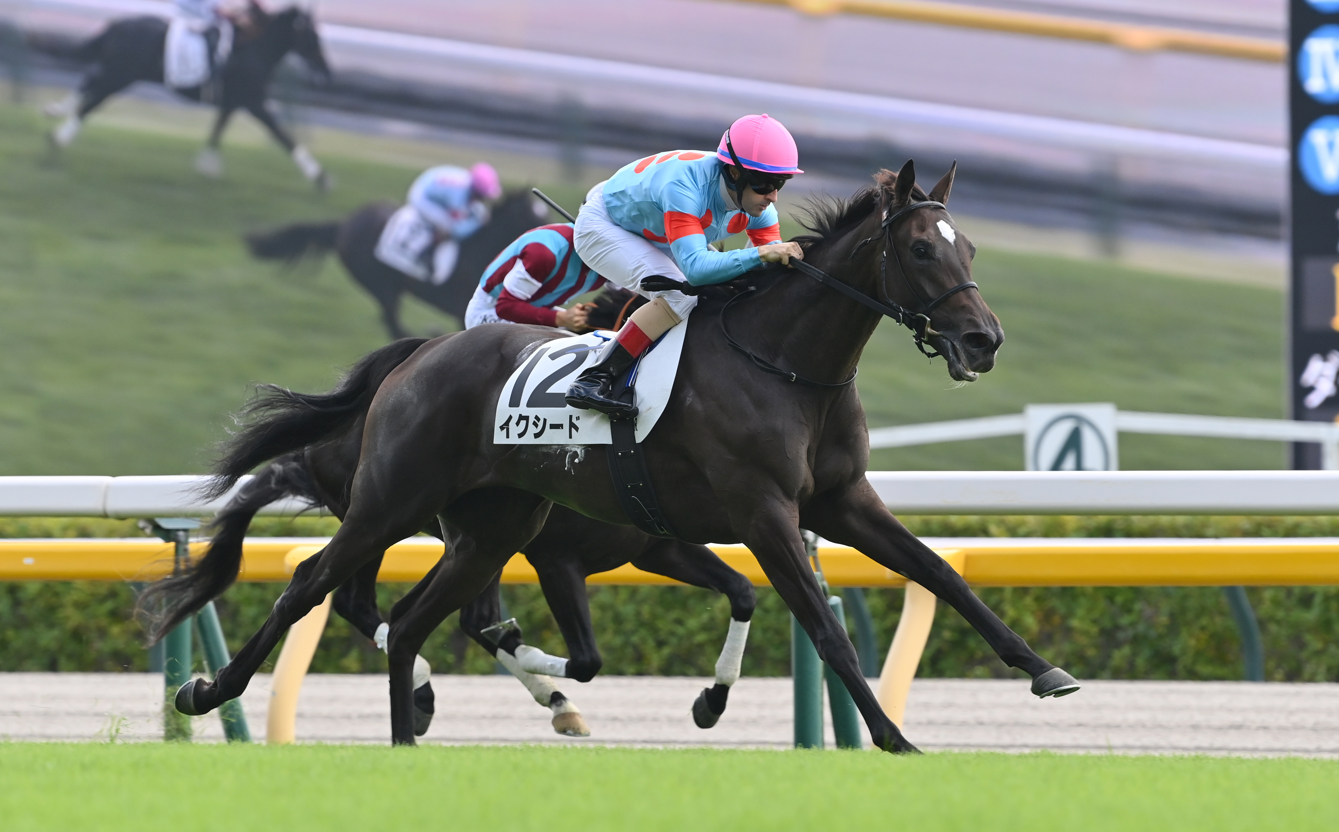 2歳新馬・東京5R】イクイノックス全妹イクシードが鮮やかに差し切り
