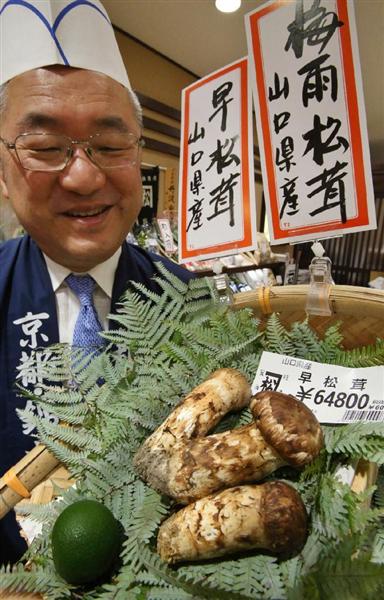 松茸 早松茸 今朝採れたて - 食品