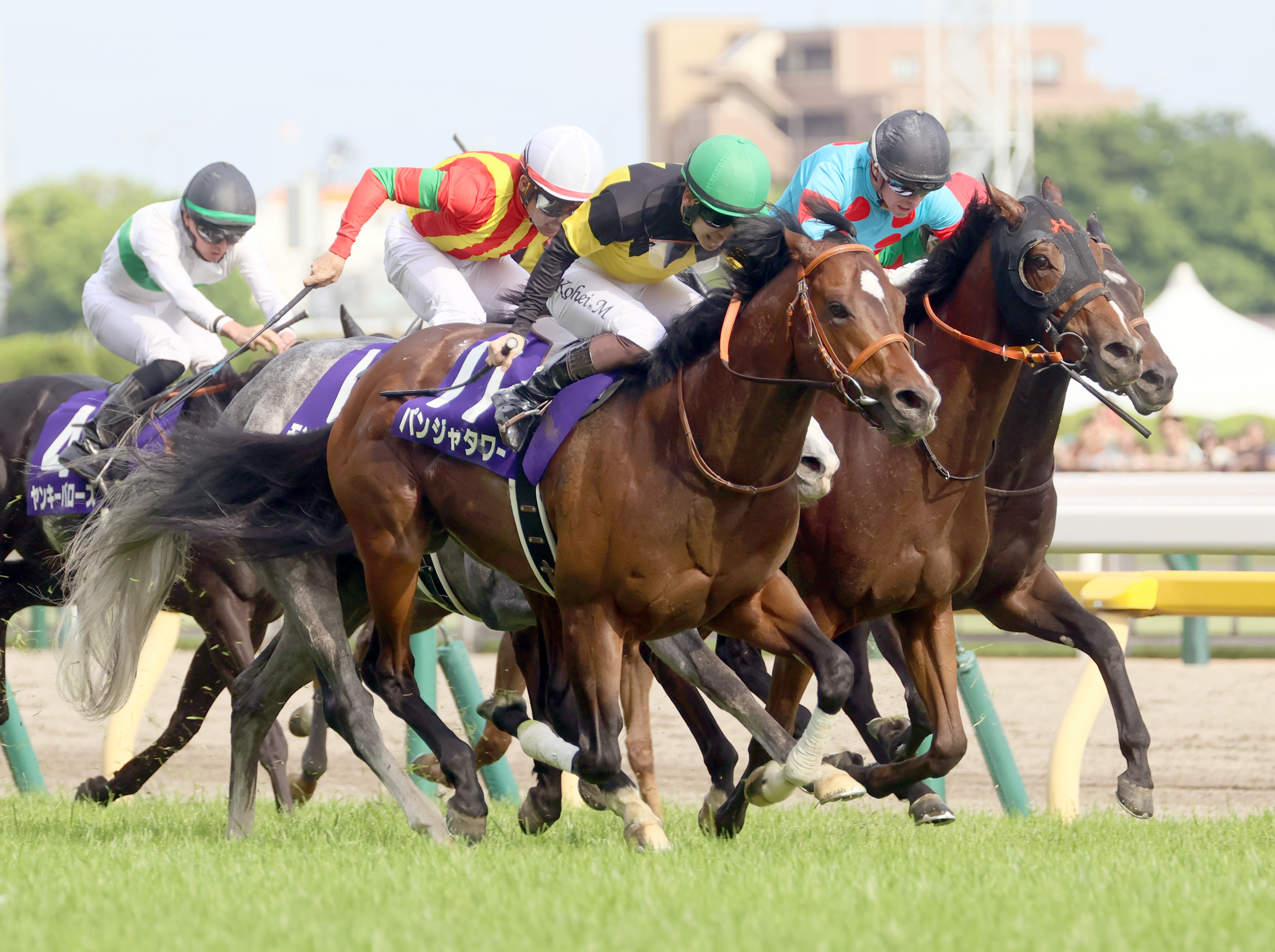 パンジャタワーが勝つ 中央競馬のGⅠ、NHKマイルカップ - 産経