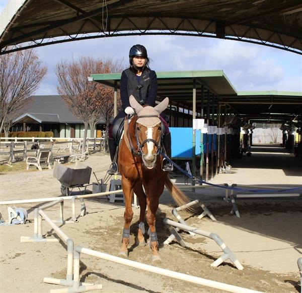 関西の議論 意外にもハードな乗馬 癒やし効果も 女性 お年寄りにも人気 1 4ページ 産経ニュース