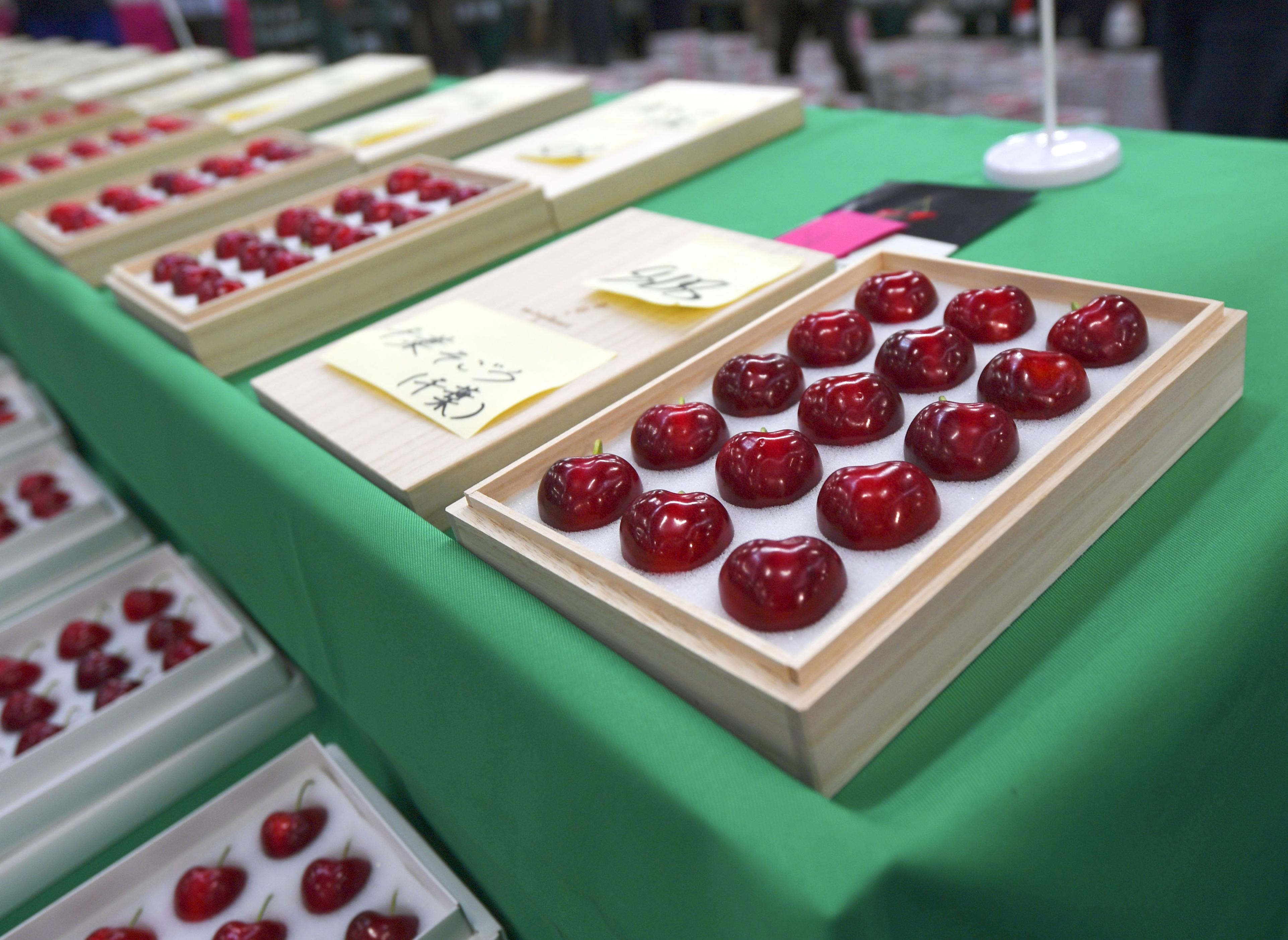 サクランボ一粒4万円！ どよめきの初競り - 産経ニュース