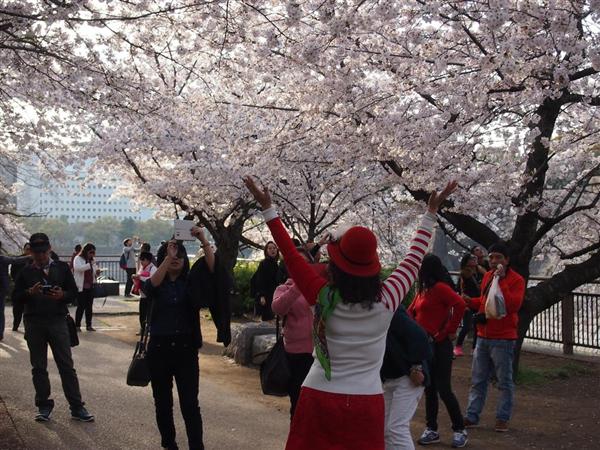 関西の議論 フランクフルト切り分けろ 中国人 爆花見 の傍若無人 桜の枝折って記念撮影 トイレ汚物まみれ ここは中国じゃない と怒りの声 3 5ページ 産経ニュース