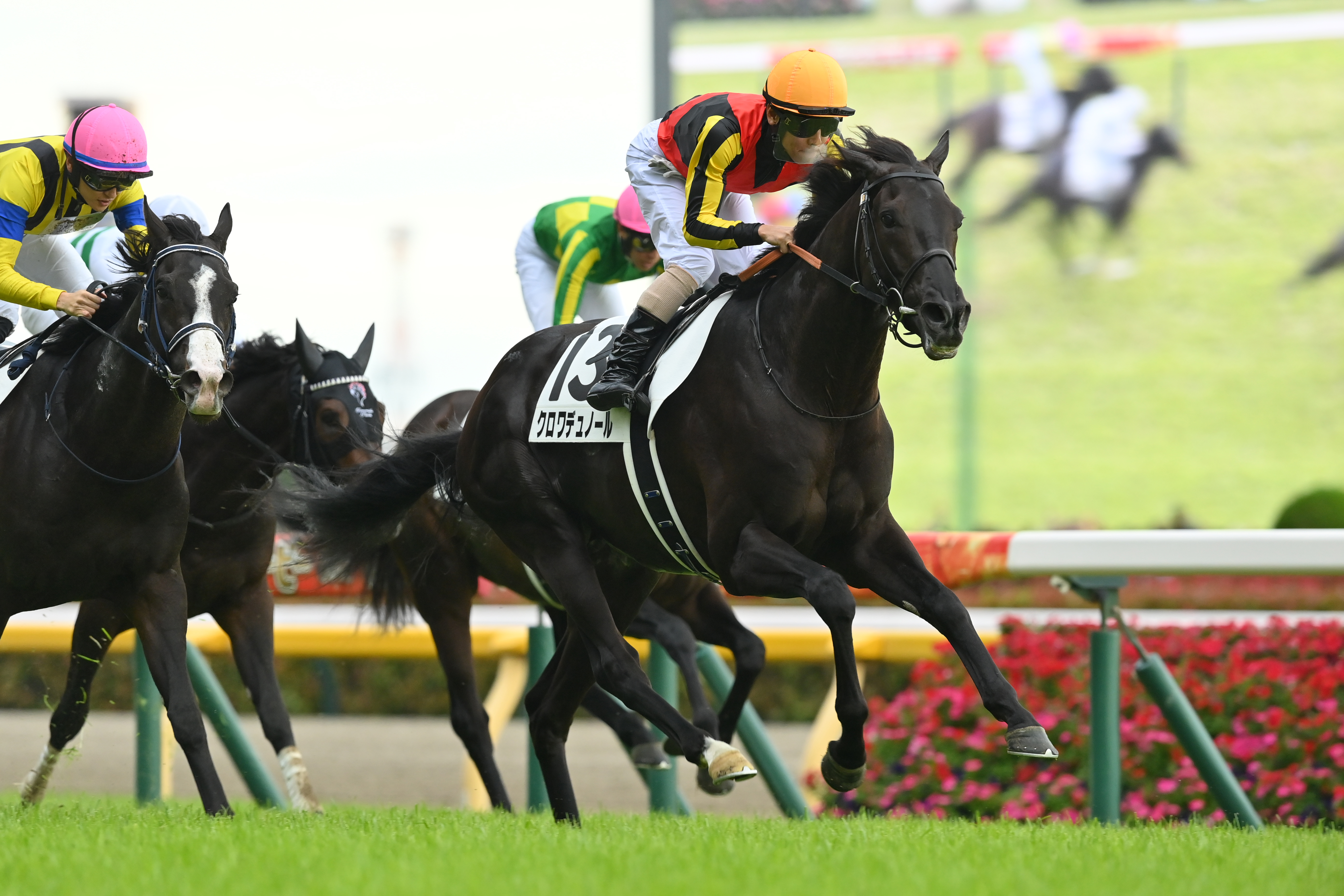 日本ダービー、クロワデュノールが制覇 北村友一騎手が騎乗、1番人気
