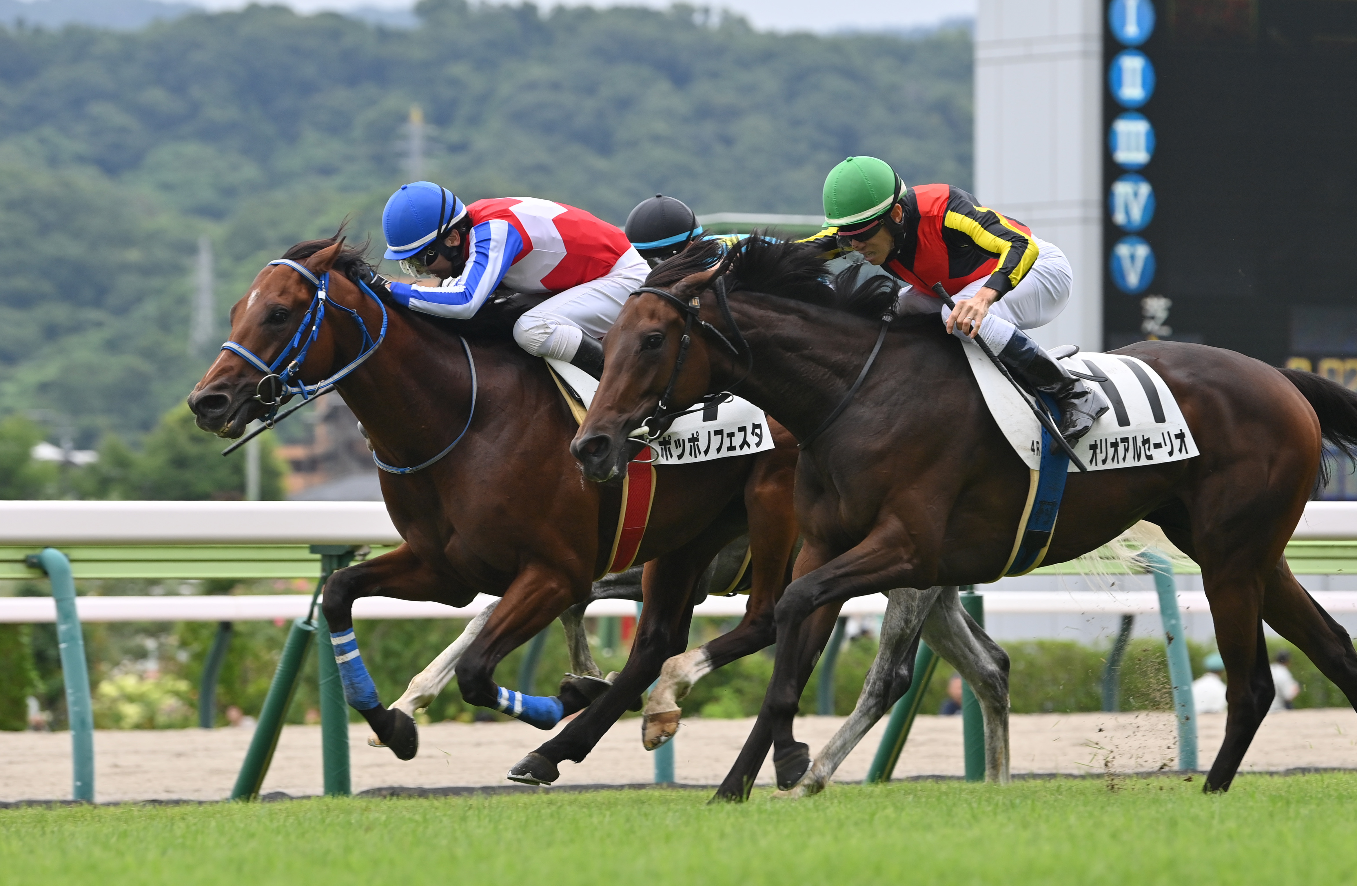 ポッポノフェスタのプライベート種牡馬入りについて堀内調教師が言及