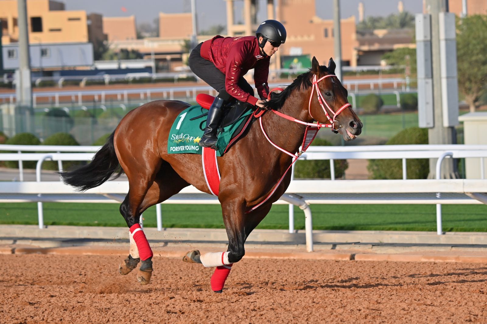 サウジC 追い切り】フォーエバーヤング史上初連覇へ順調 坂井瑠星騎手