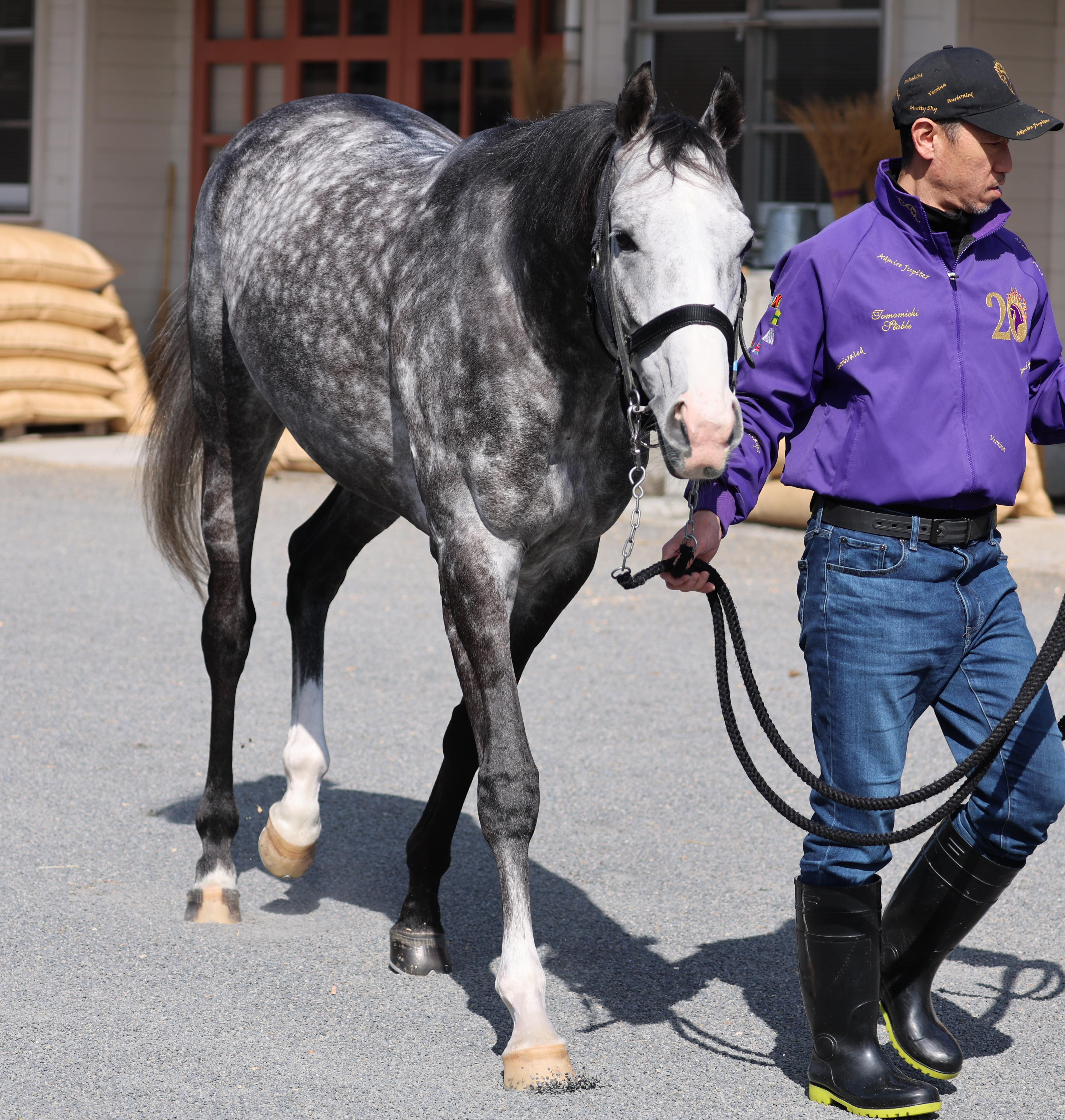 週刊Gallop】馬券検討にも役立つ「JRAジョッキー名鑑」 美浦所属の騎手