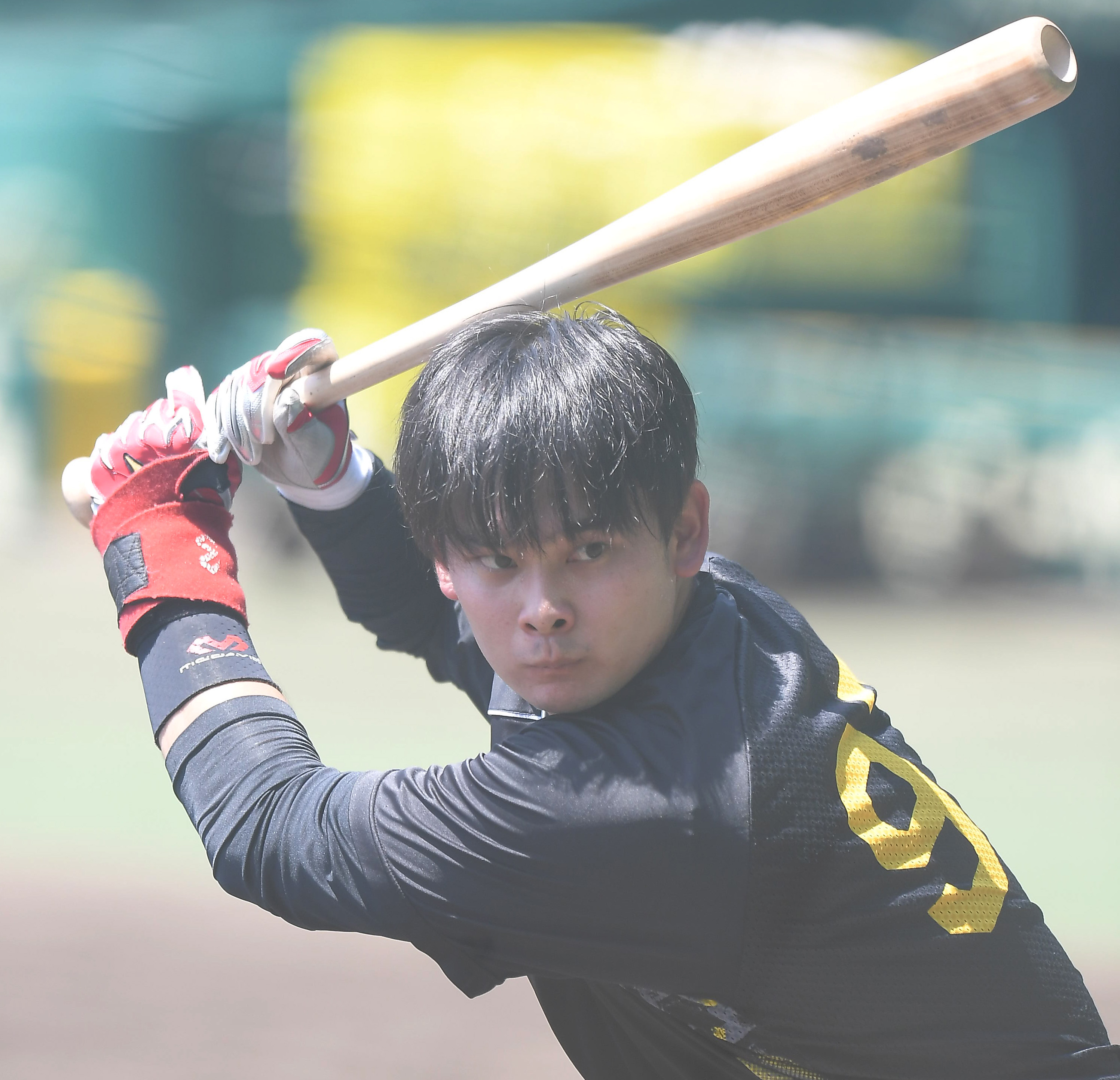 ホークスファン必見！秋山幸二記念バット ホークスファン必見！秋山 