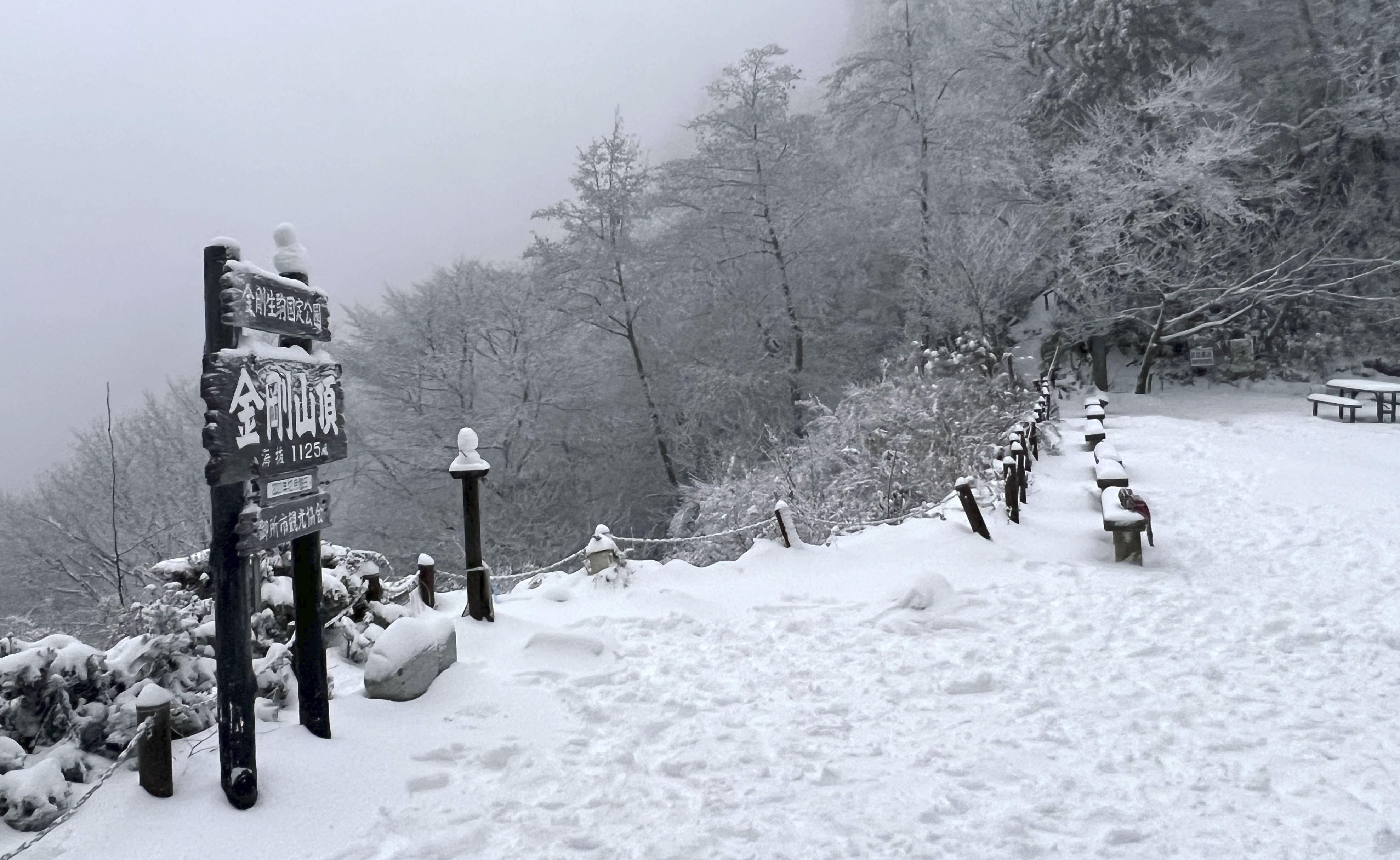 フォト】「霧氷も見られた」 金剛山で初冠雪、山頂10センチ - 産経