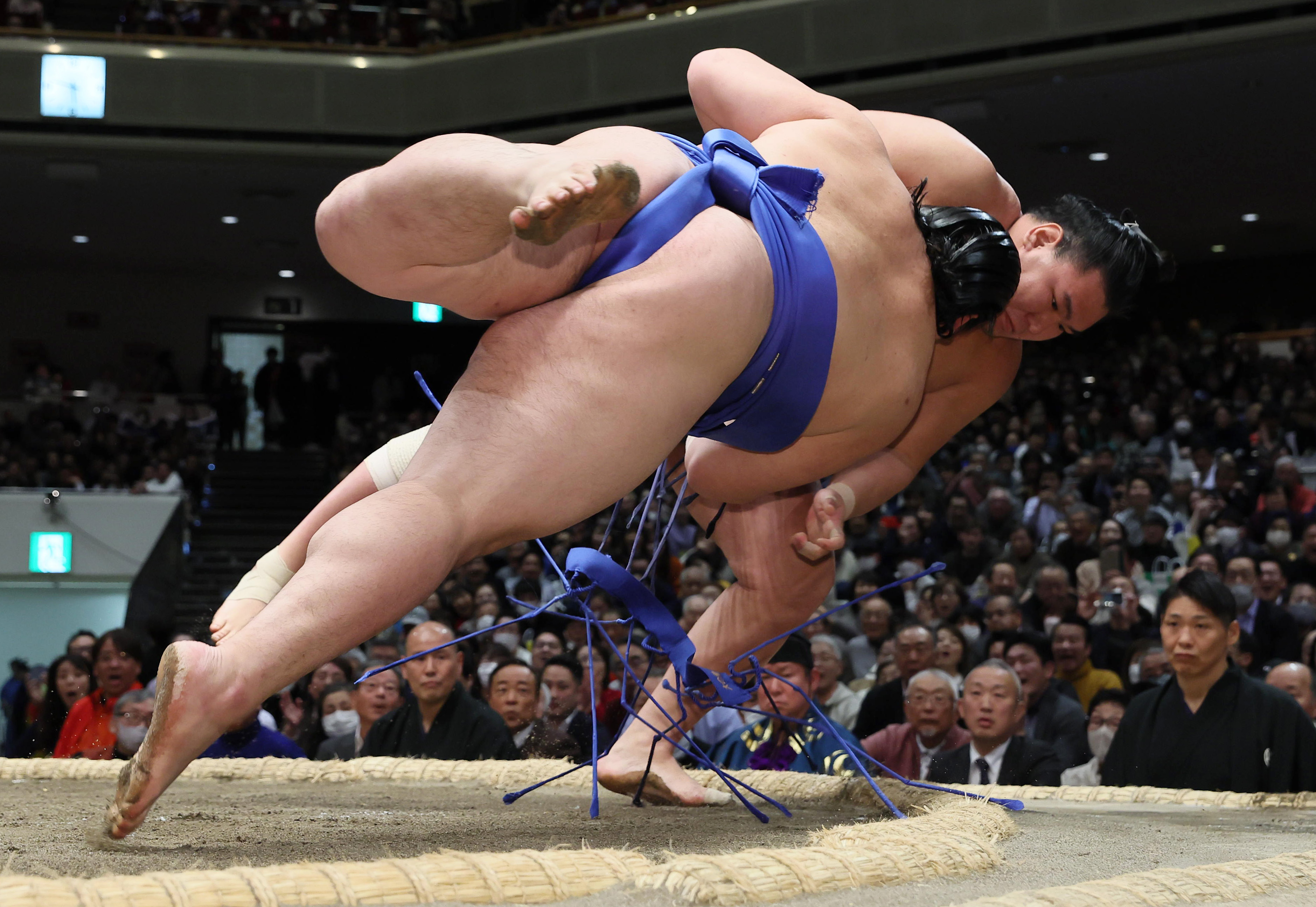 豊昇龍が２敗キープ ざんばらホープを豪快下手投げ 叔父の元朝青龍から