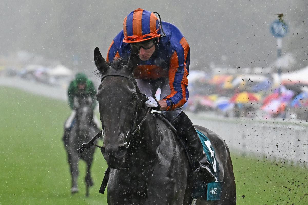 ナッソーS】雨中の決戦を制したワールがGⅠ連勝！ 5馬身差の圧勝で凱旋門賞人気も急上昇 - サンスポZBAT!