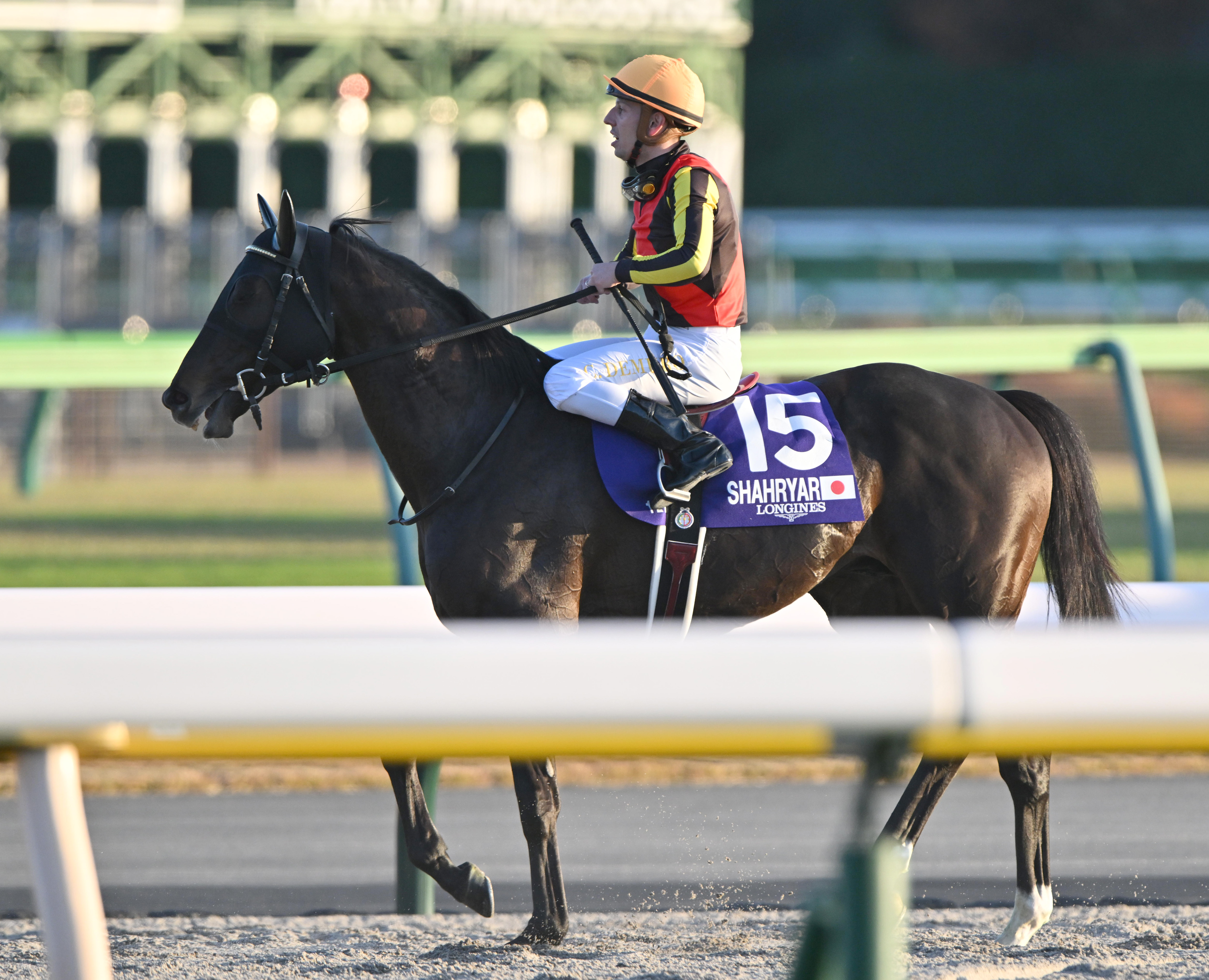 ジャパンＣ】１番人気シャフリヤールは２着…内側斜行で騎乗停止のＣ 