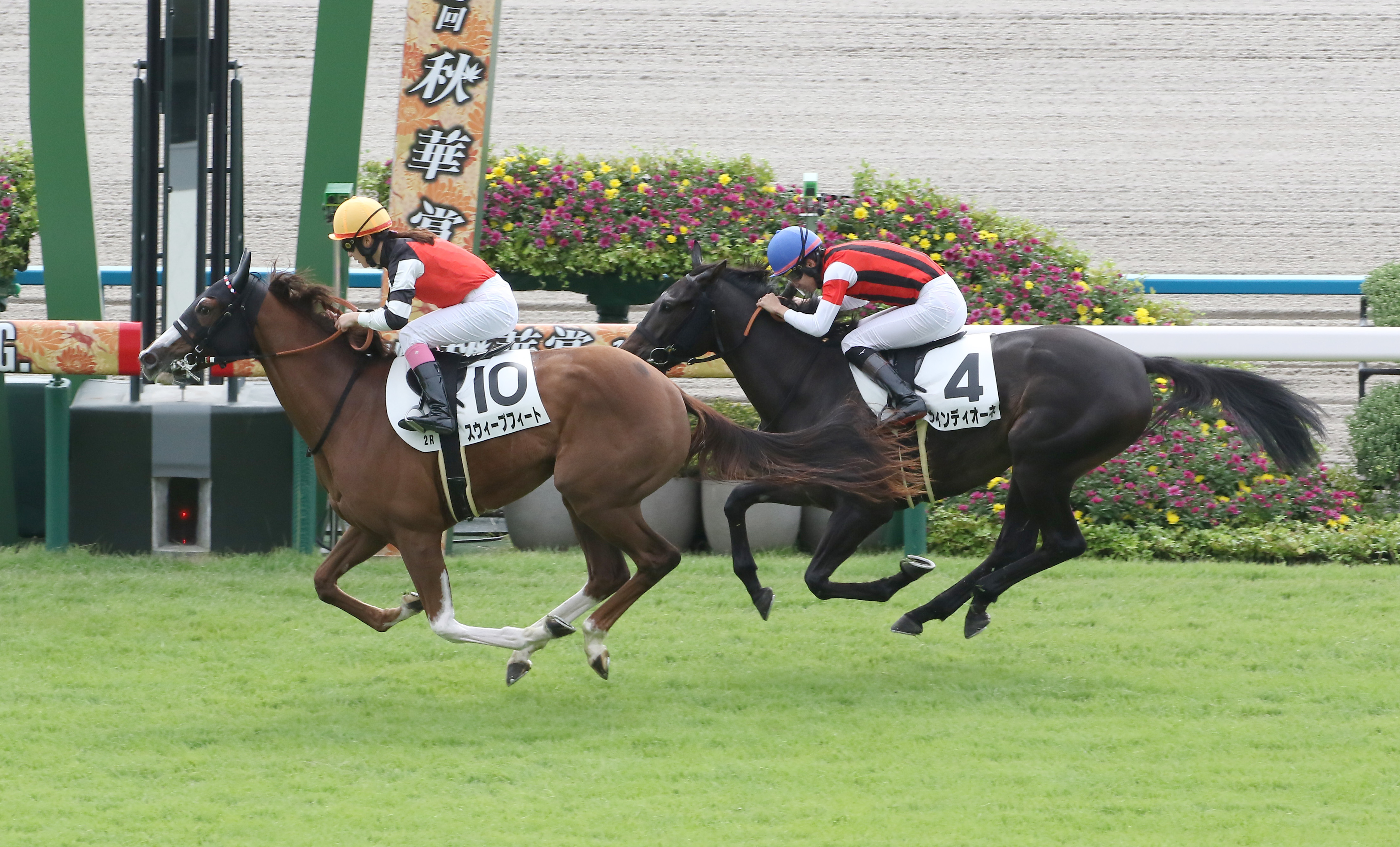 永島まなみ騎手が２日連続Ｖ スウィープフィートで豪快差し切り