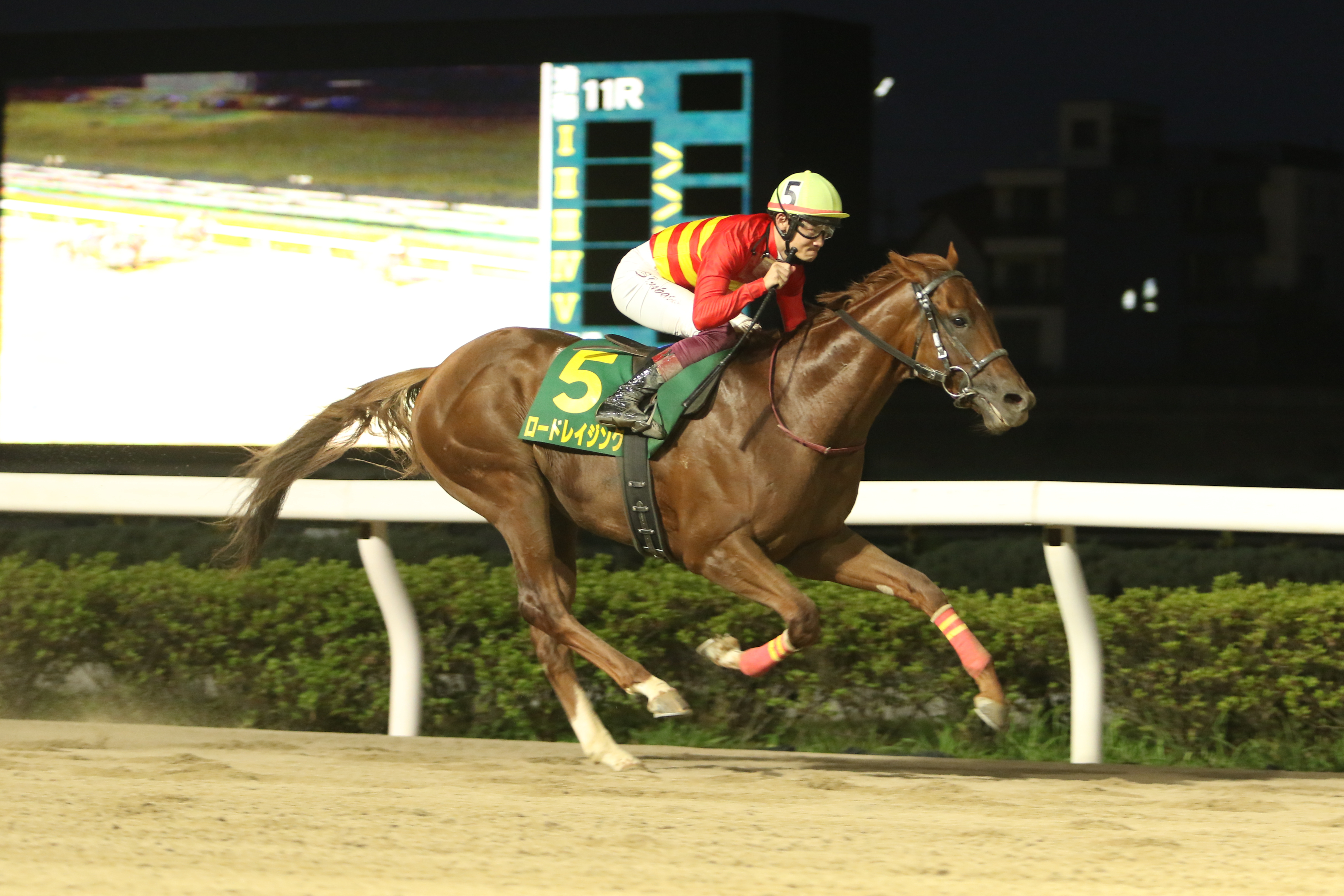 川崎競馬取材班 必勝馬券コラム】鎌倉記念 - サンスポZBAT!
