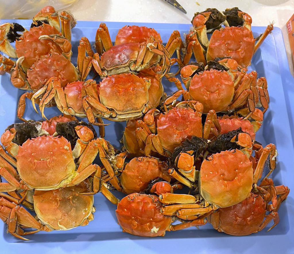 厄介者のカニ〟モクズガニで目指せ1兆円市場！？ 廃棄野菜と