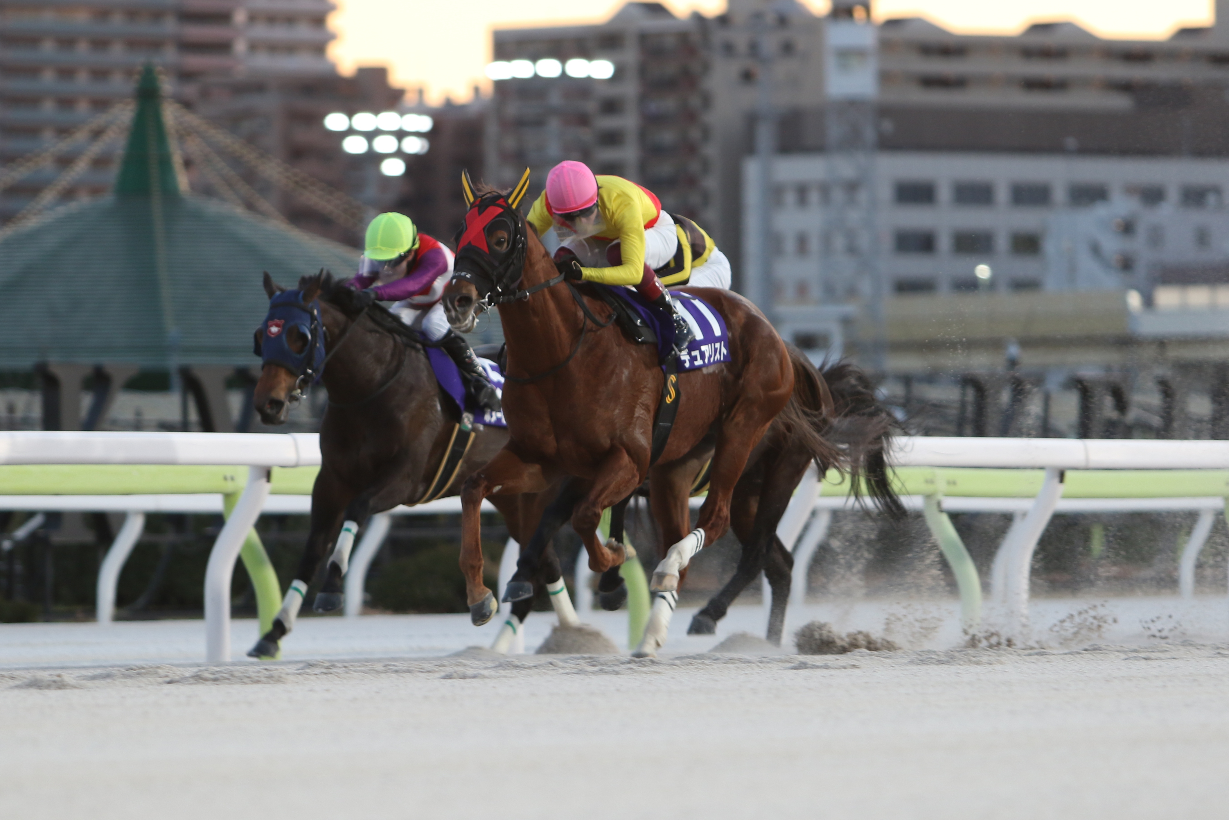 サンスポ盃船橋記念】陣営の思惑（写真・画像 1/1） - サンスポZBAT!