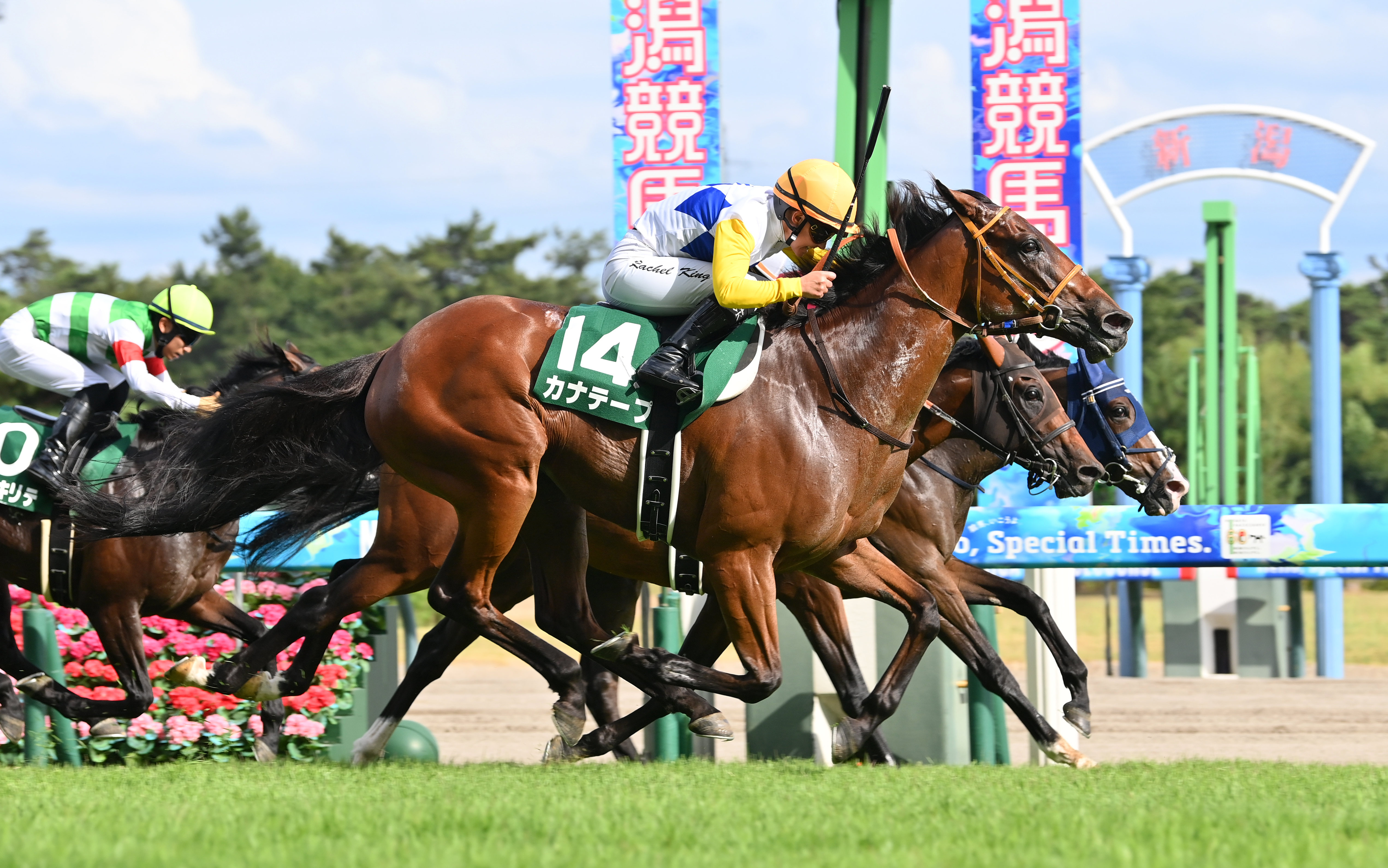 騎馬武者　白馬　義山　アンティーク Amazon.co.jp: 騎士戦馬像、中世ヨーロッパのレトロ工業製品装飾