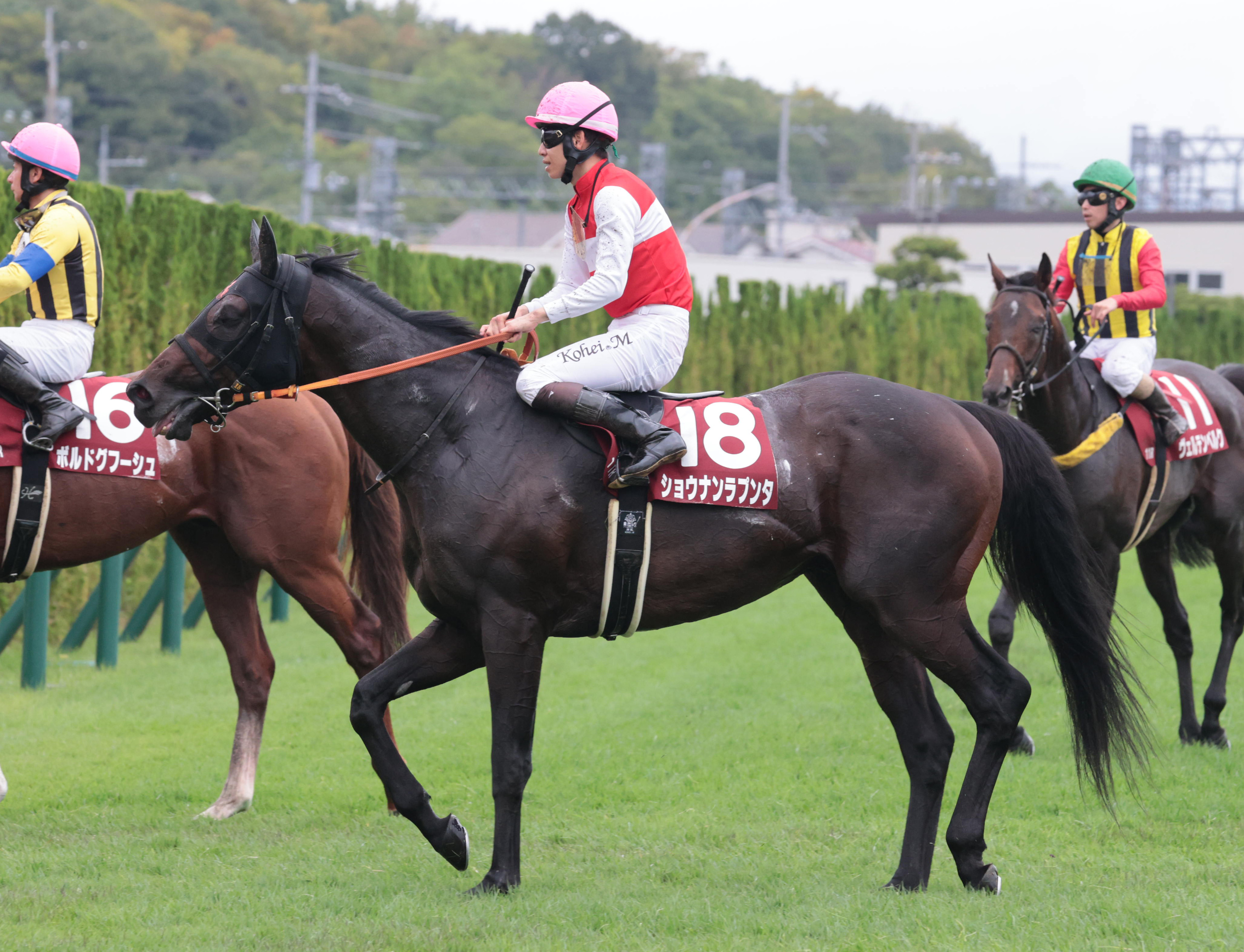 KRFBVLYWLZI6DO5ZVSB5NBECTE.jpg