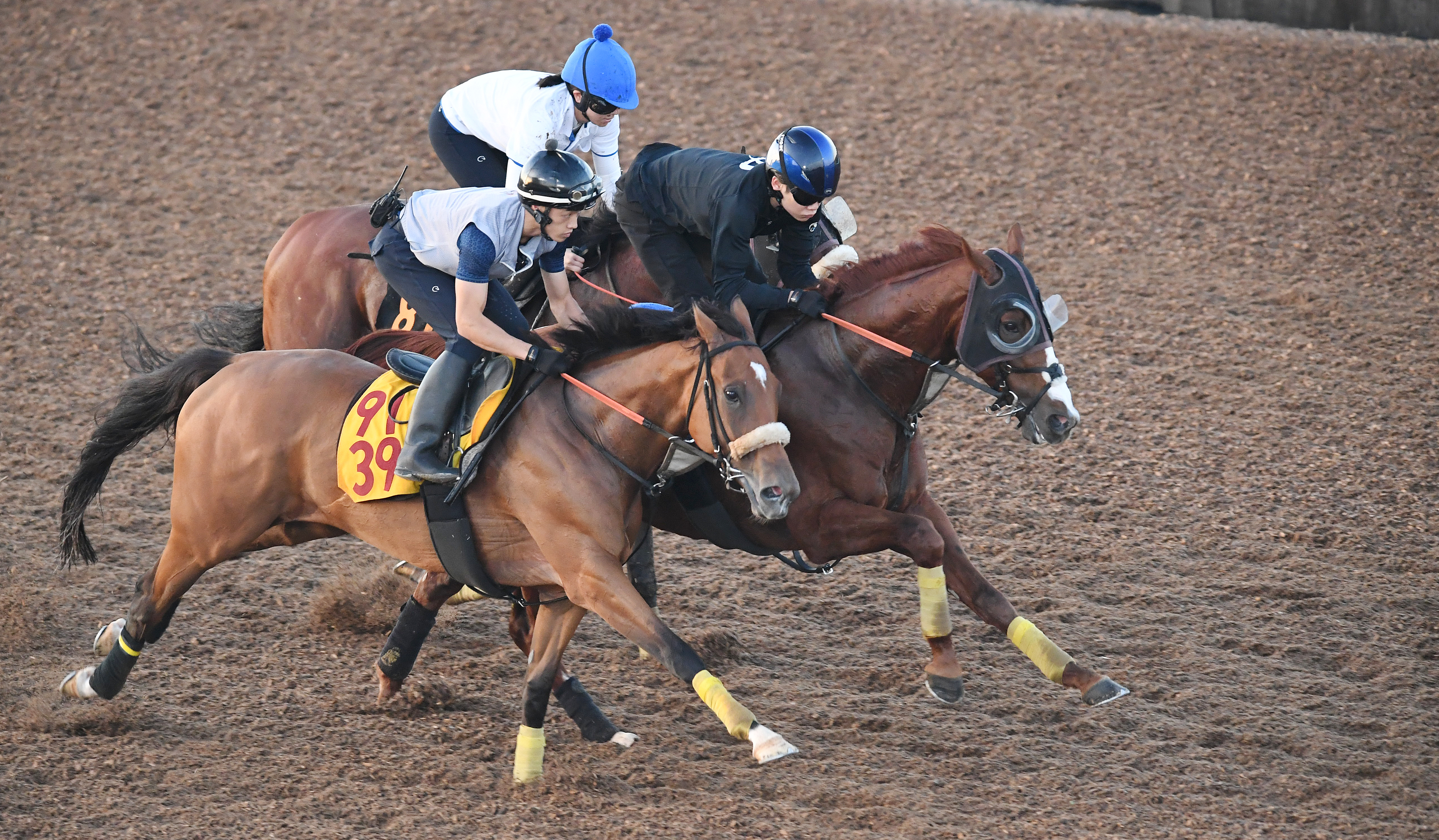 新潟記念 1週前追い切り】アーバンシック3頭併せでラスト11秒5をマーク