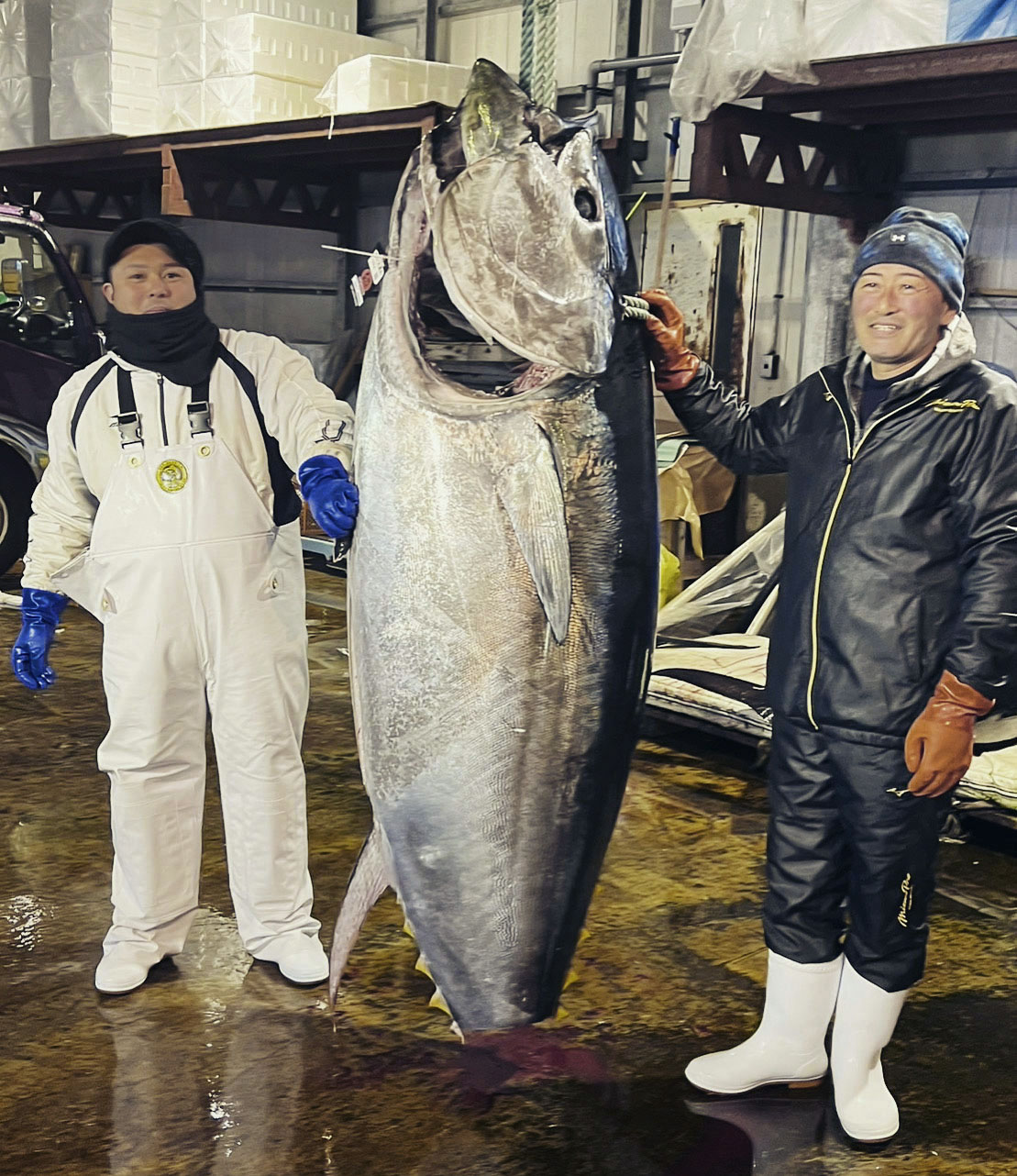 大間 マグロ 初 競り 漁師
