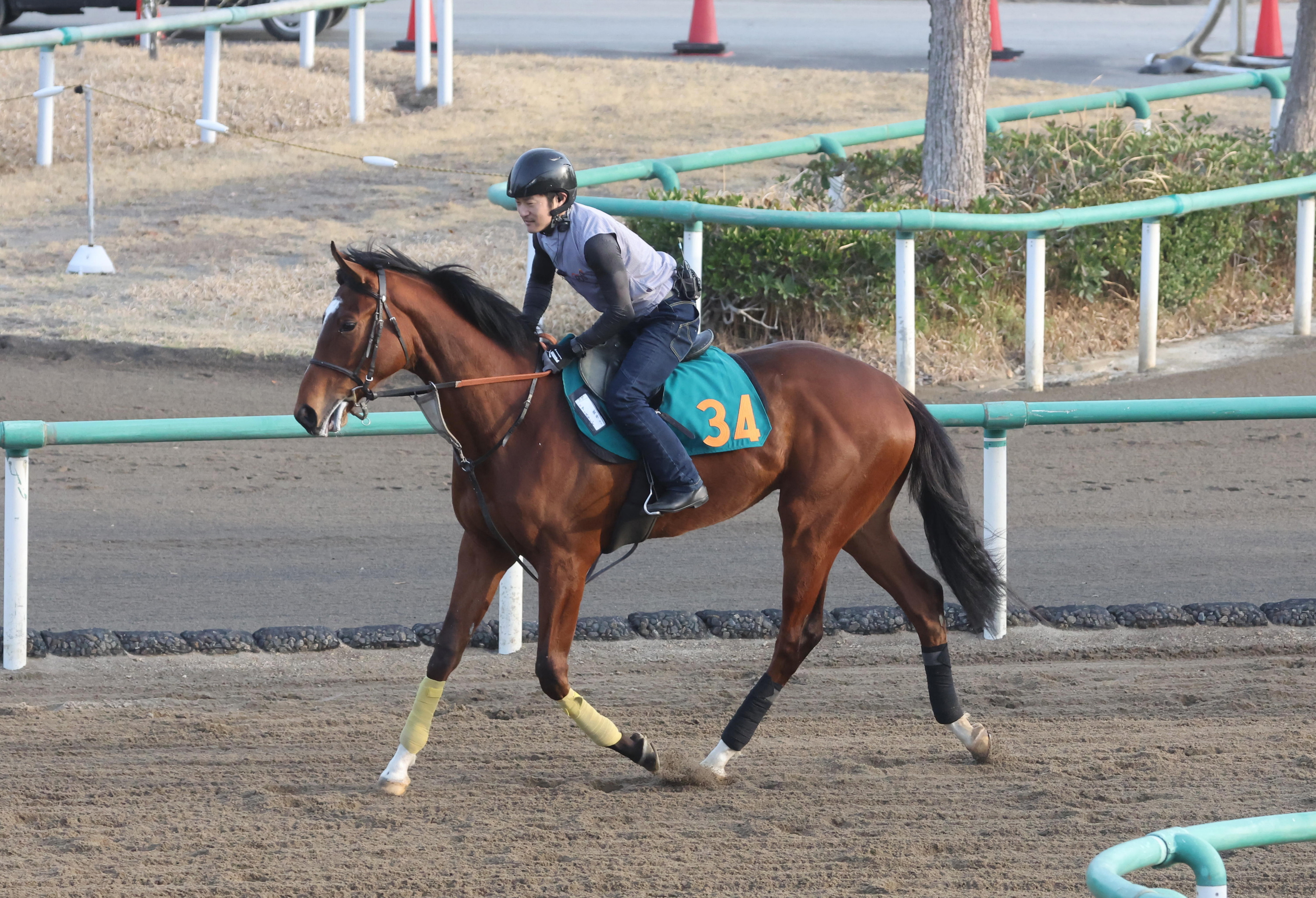 ムコ商品　クロワデュノール　メイクデビュー（新馬戦）　現地的中応援馬券 2021年6月21日メイクデビュー東京5Rにてクロワデュノールの弟