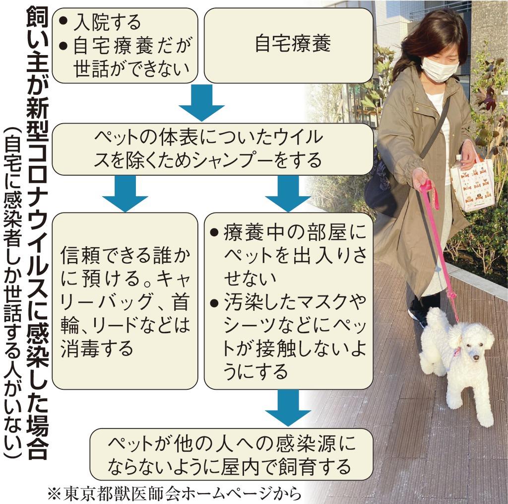 新型コロナ ペットへの過度な接触避けて 海外では犬猫の感染確認 1 2ページ 産経ニュース