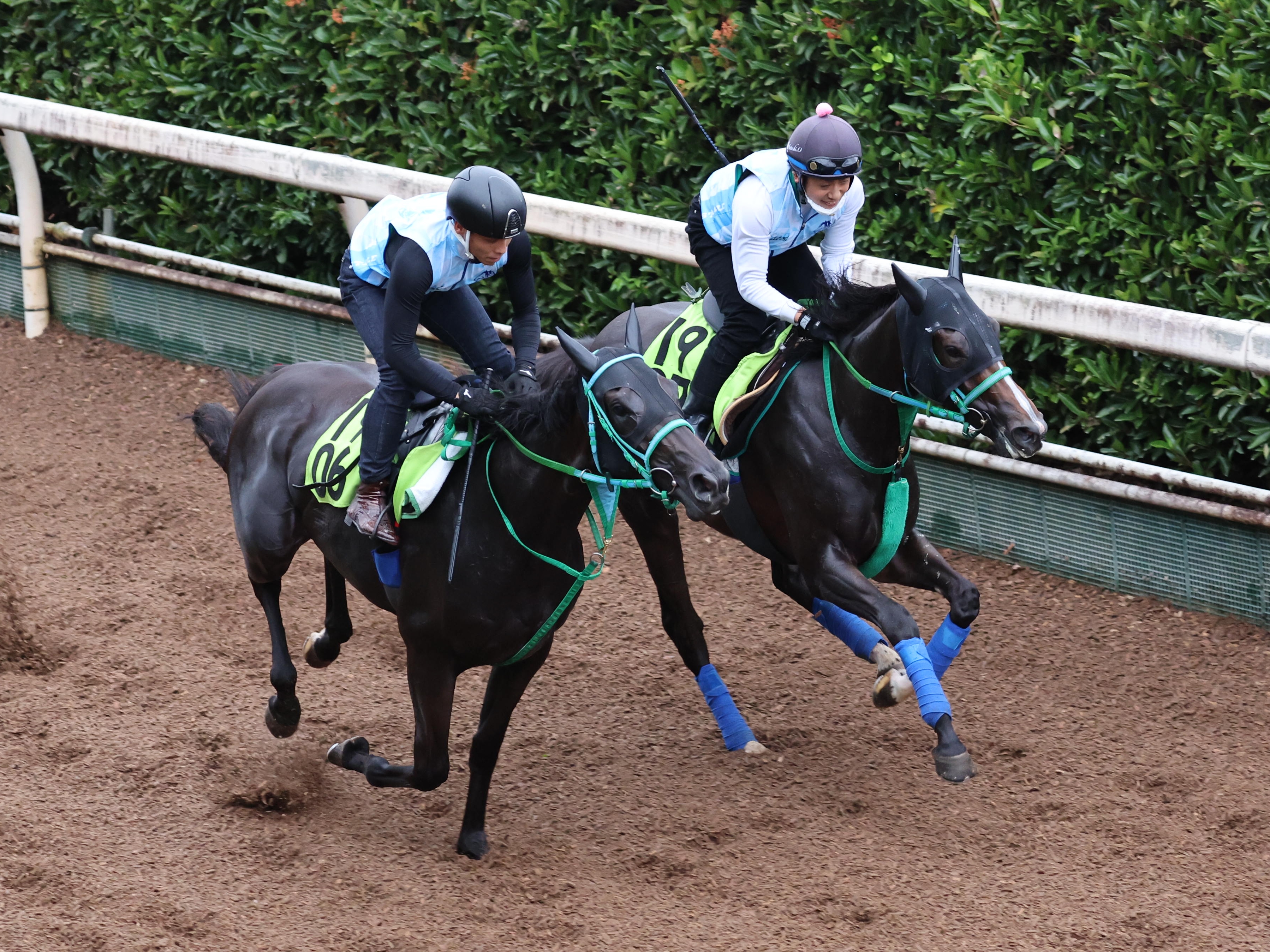 ノリタケ　競走馬跳馬 今日の注目新馬】ティタノマキア、古馬OPエアファンディタと互角の走り