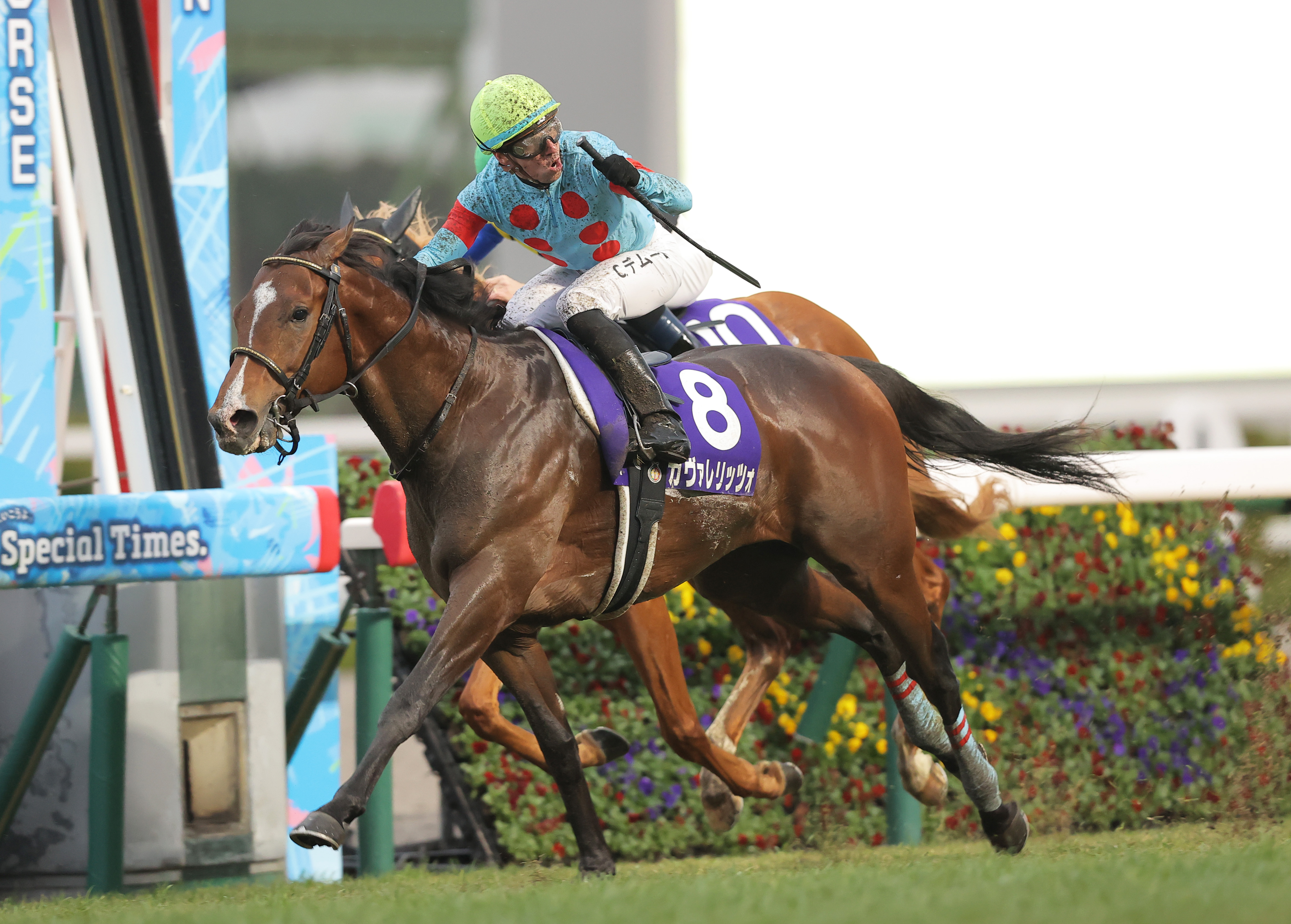 【現地・複勝的中】ファイトガリバー　第57回オークス2着 現地・複勝的中】ファイトガリバー 第57回オークス2着 現地・複勝