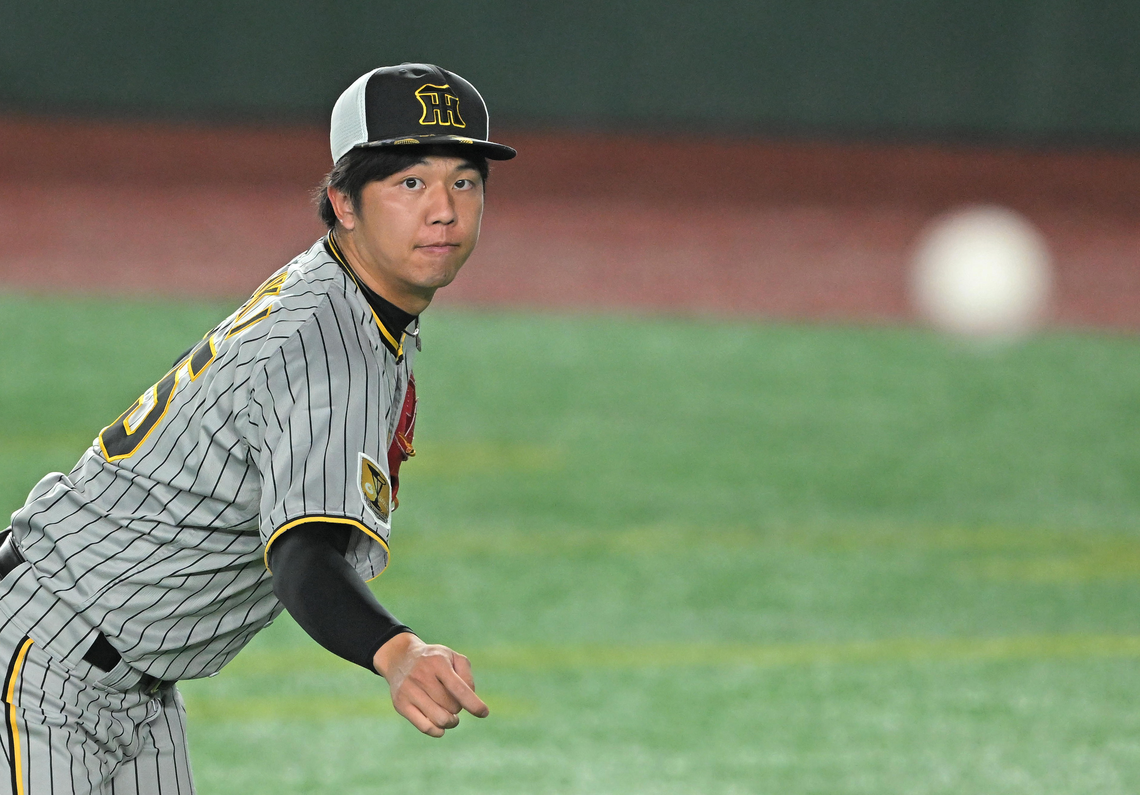 阪神タイガース ヤクルトスワローズ 9月16日 野球 阪神タイガース ヤクルトスワローズ 9月16日 野球