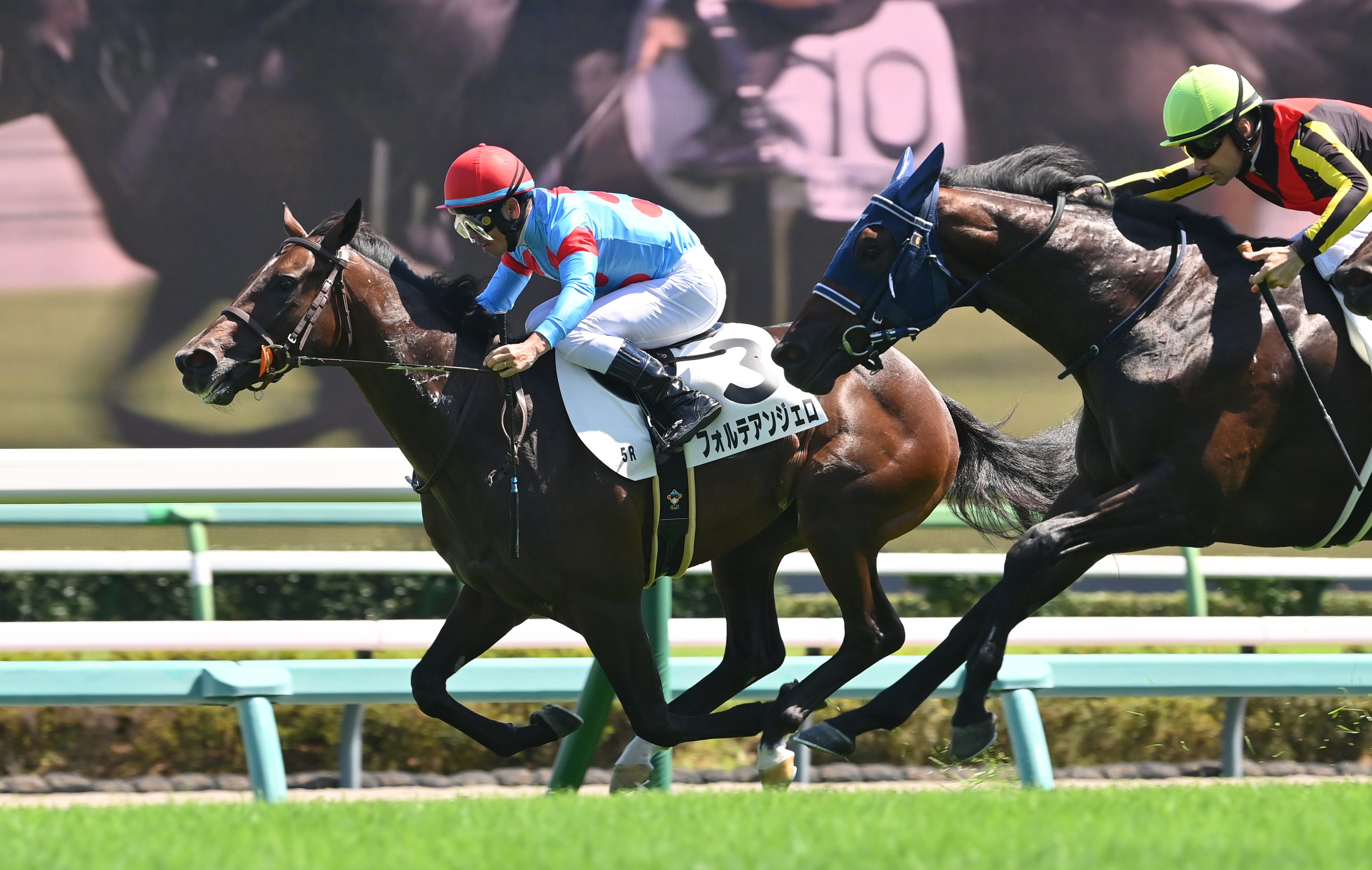 2歳新馬・中山5R】フォルテアンジェロが馬群を割って抜け出す