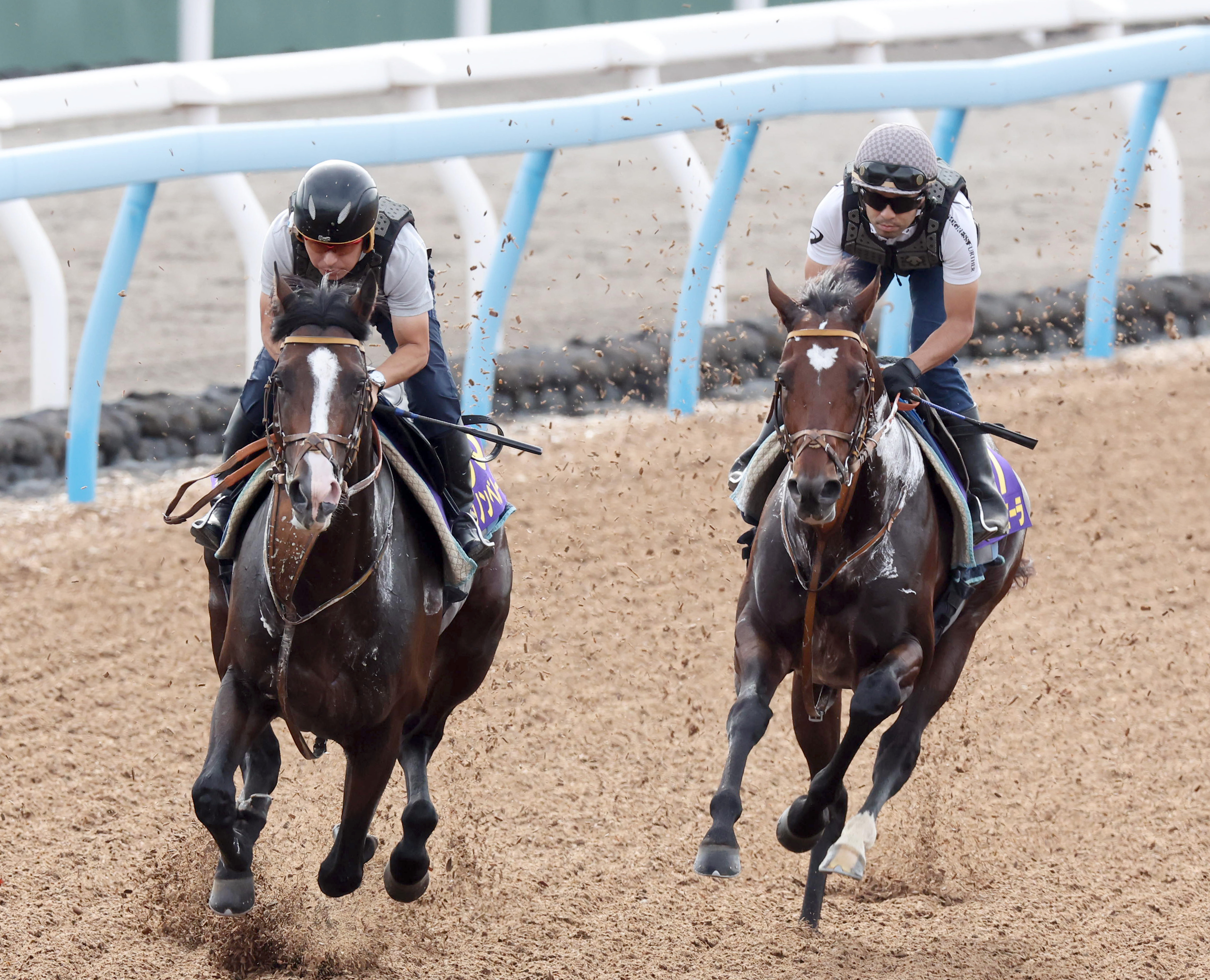 な³☆実際に使用!JRA 競馬バナー天皇賞秋　ポタジェレッドガロン（表裏） な³様専用☆実際に使用!JRA 競馬バナー天皇賞秋 ポタジェレッド