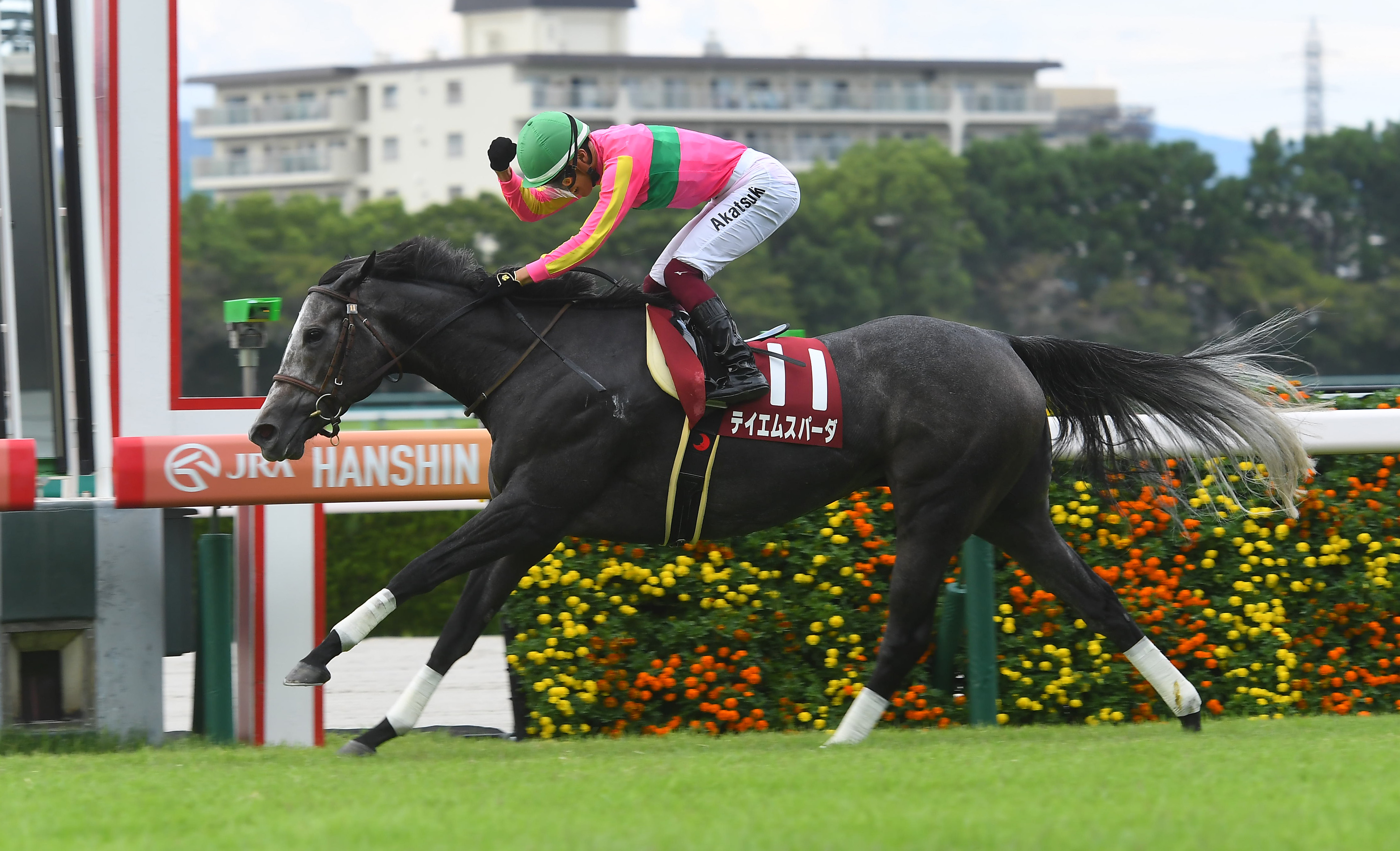 JRA第58回CBC賞 テイエムスパーダ的中単勝馬券 - 競馬