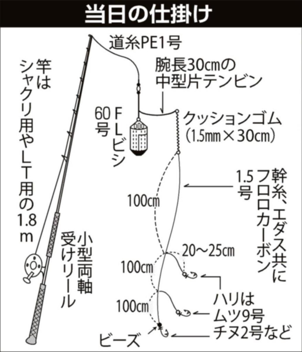 今年も絶好調 勝浦イサキ 指示ダナの上目 大物狙って３６センチ 1 2ページ サンスポ