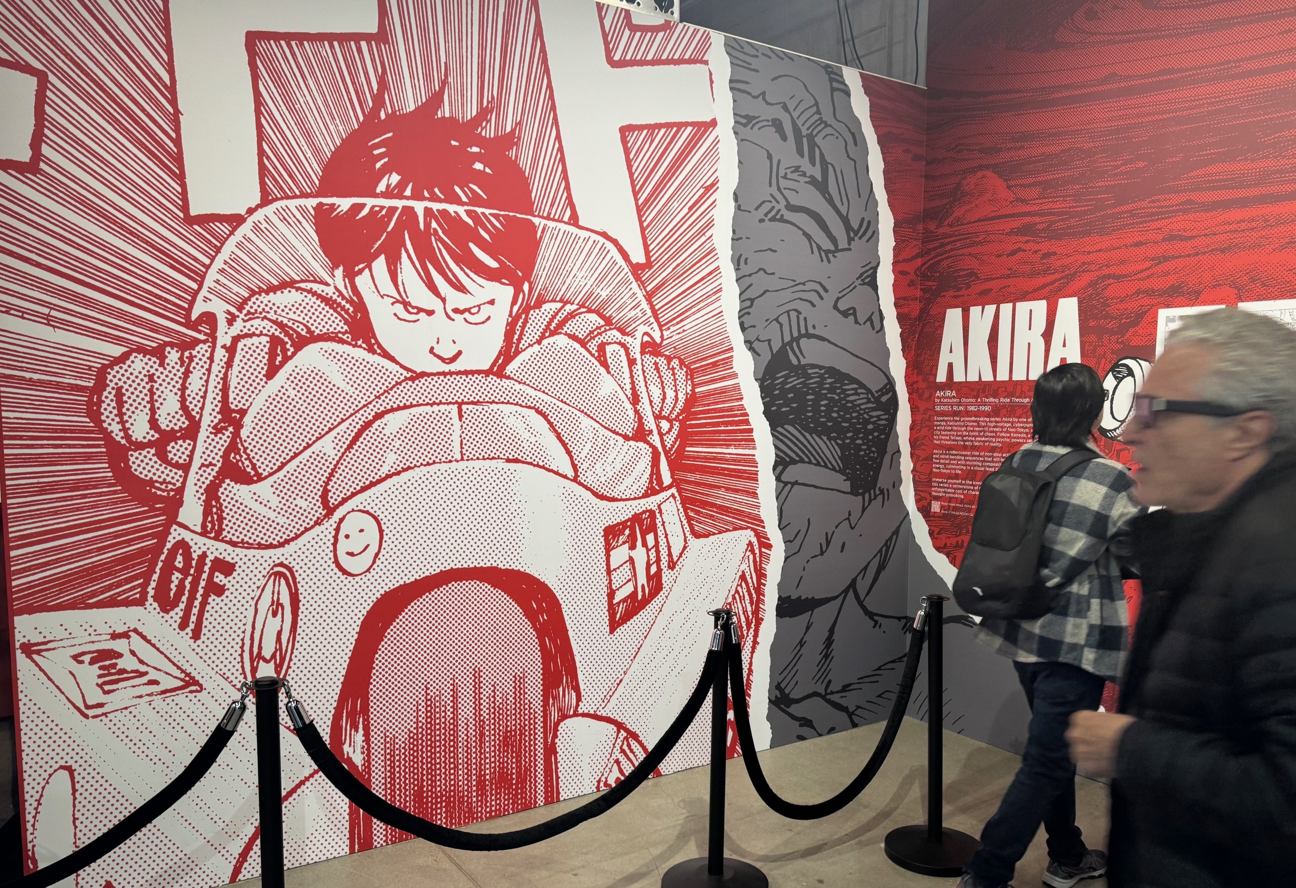 日本の漫画、北米で急拡大 「原作読みたい」需要強く 未アニメ化でも