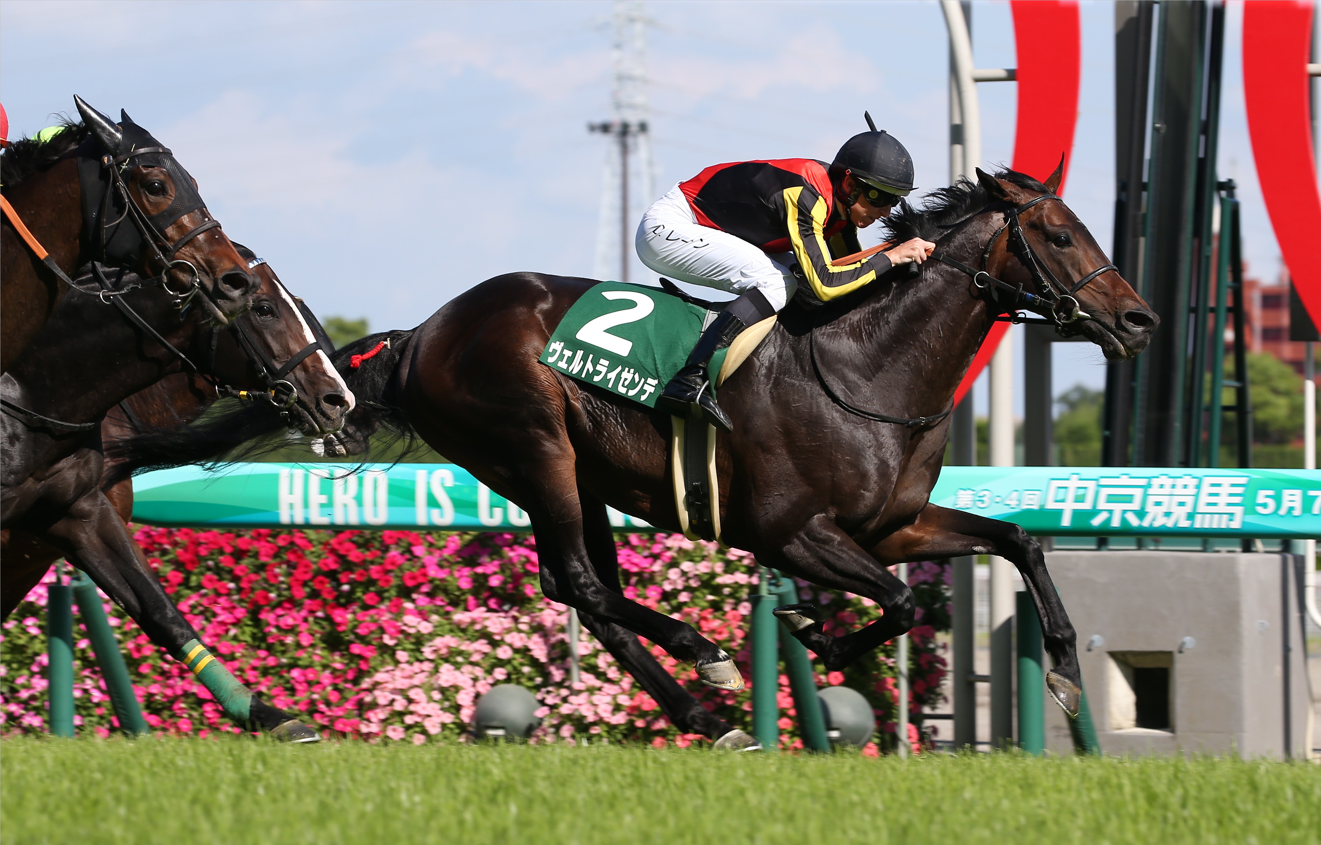 ヴェルトライゼンデがサラブレッドオークションに上場 種牡馬としての